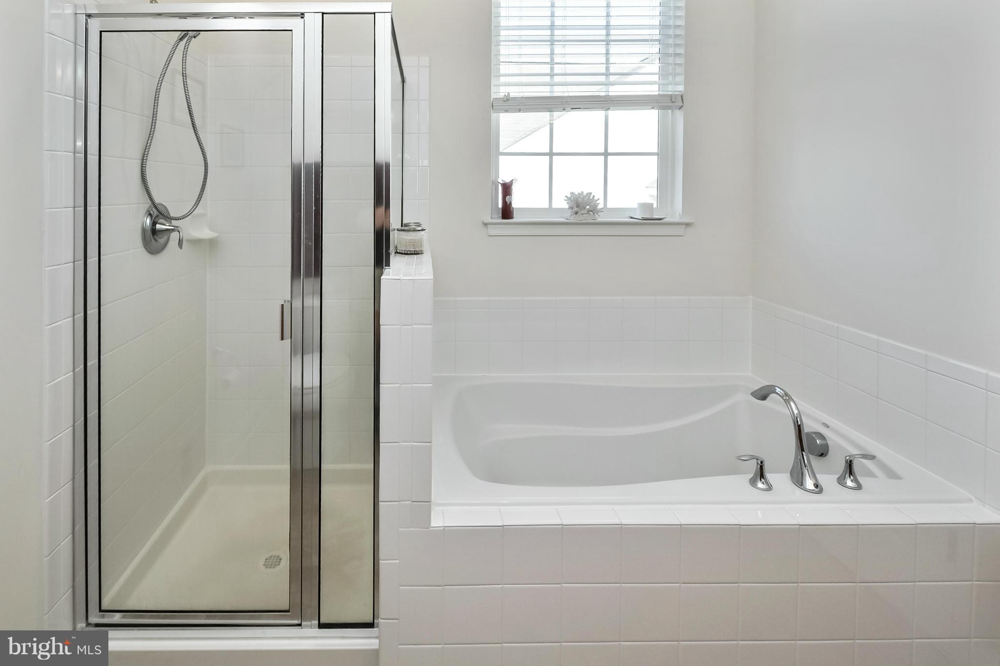 1443 Chesterfield Road Locust Grove, VA 22508 - Photo 13 of 30 Master bath with soaking tub and separate shower