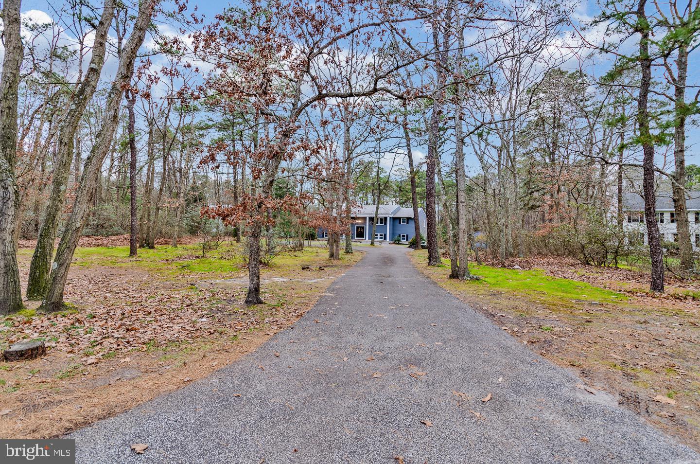 218 Hopewell Road Marlton, NJ 08053 - Photo 3 of 53