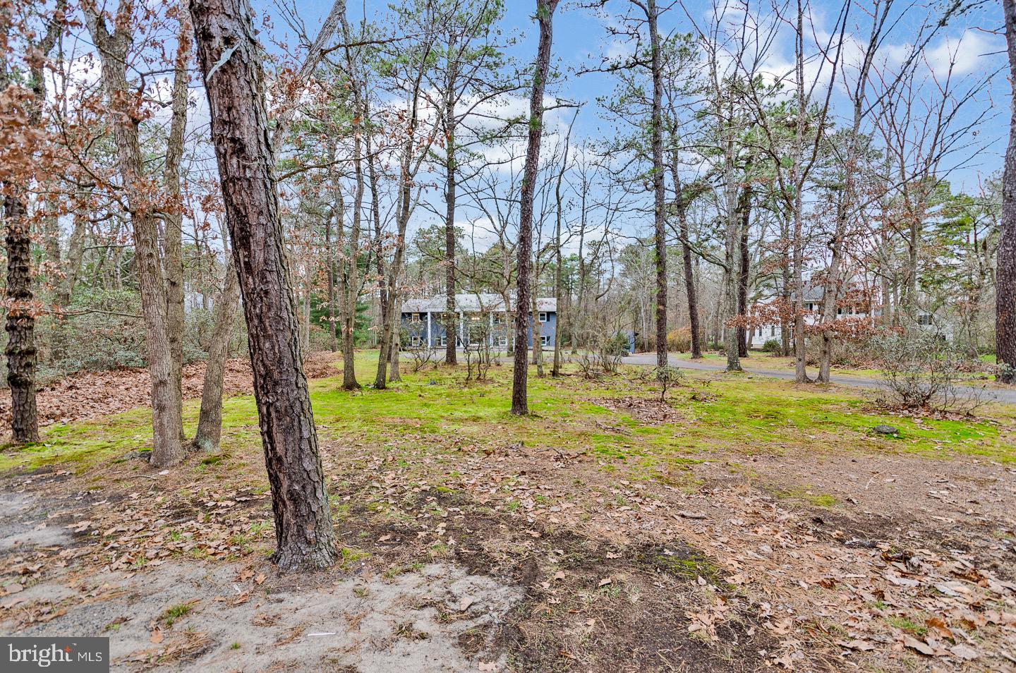 218 Hopewell Road Marlton, NJ 08053 - Photo 5 of 53