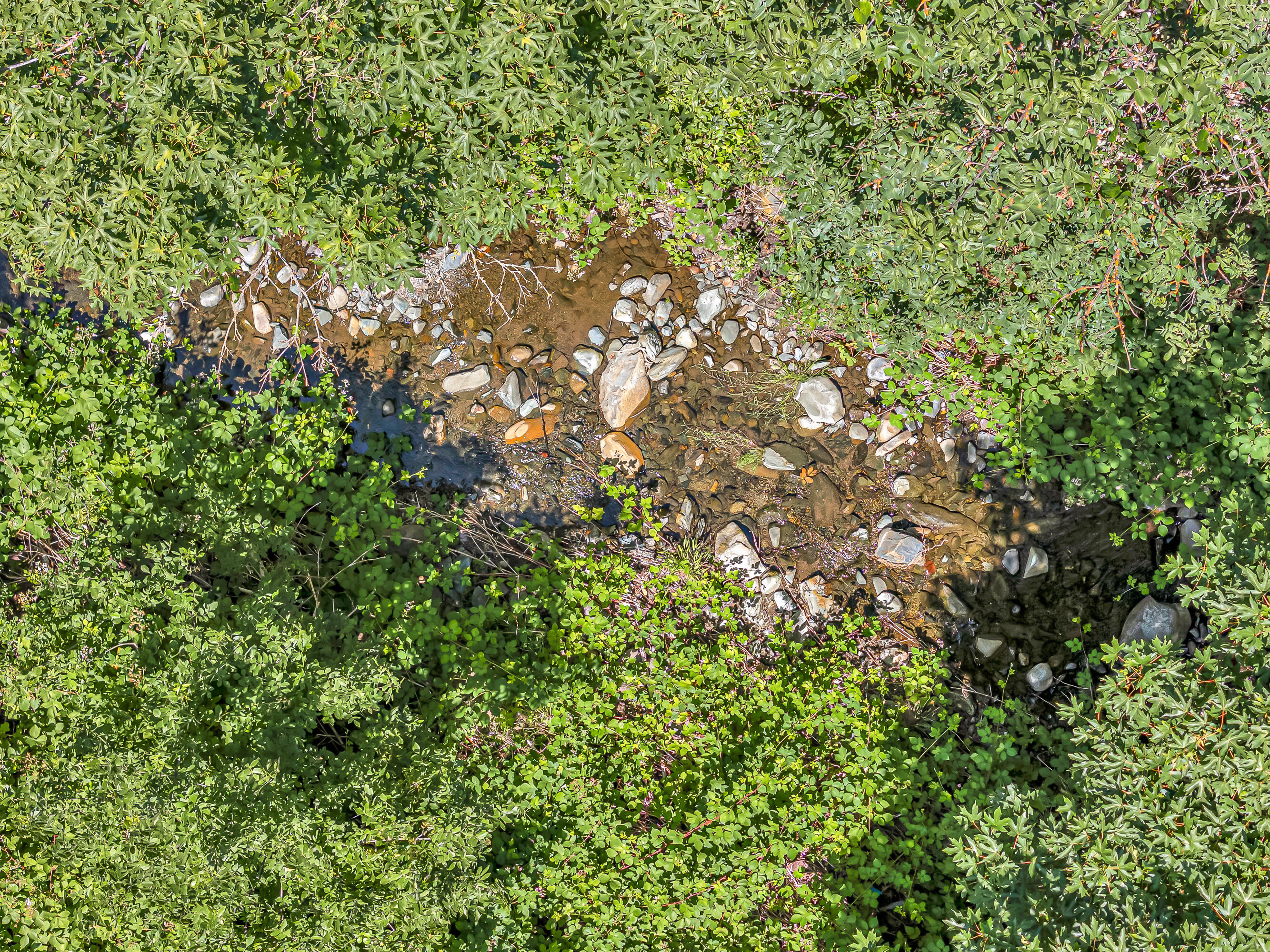 1775 Wards Creek Road Rogue River, OR 97537 - Photo 51 of 62