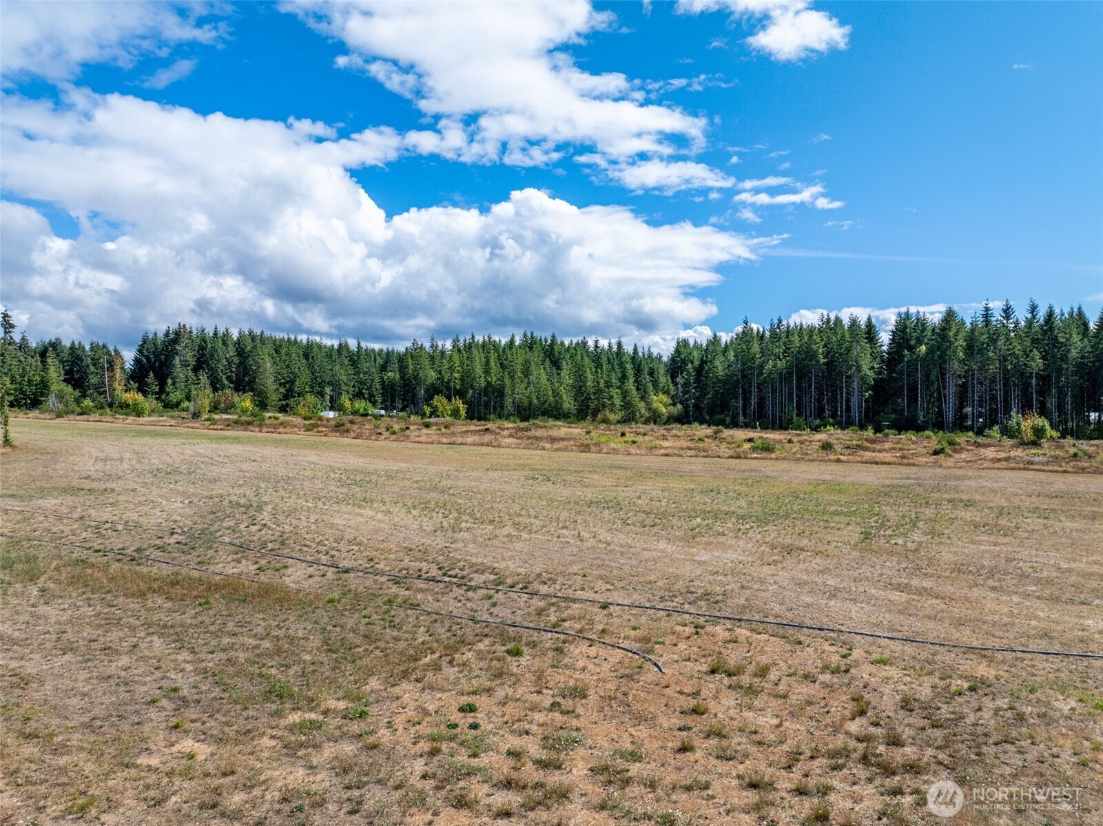 0 McGlaughlin Road, Unit 5 Winlock, WA 98596 - Photo 20 of 20 Gallery Image 20