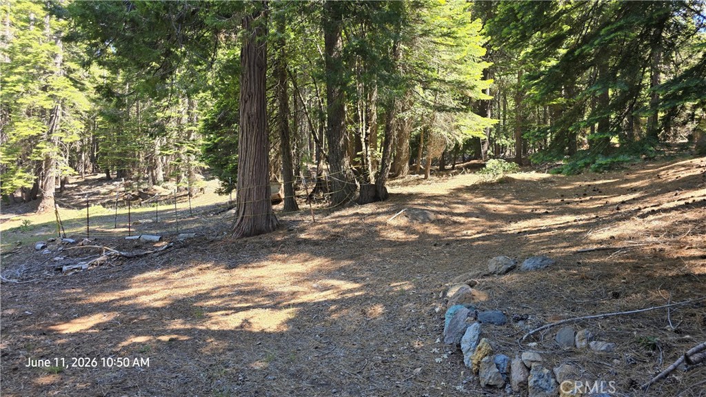 0 Fish Creek Forest Ranch, CA 95942 - Photo 26 of 43 Driveway at main cabin