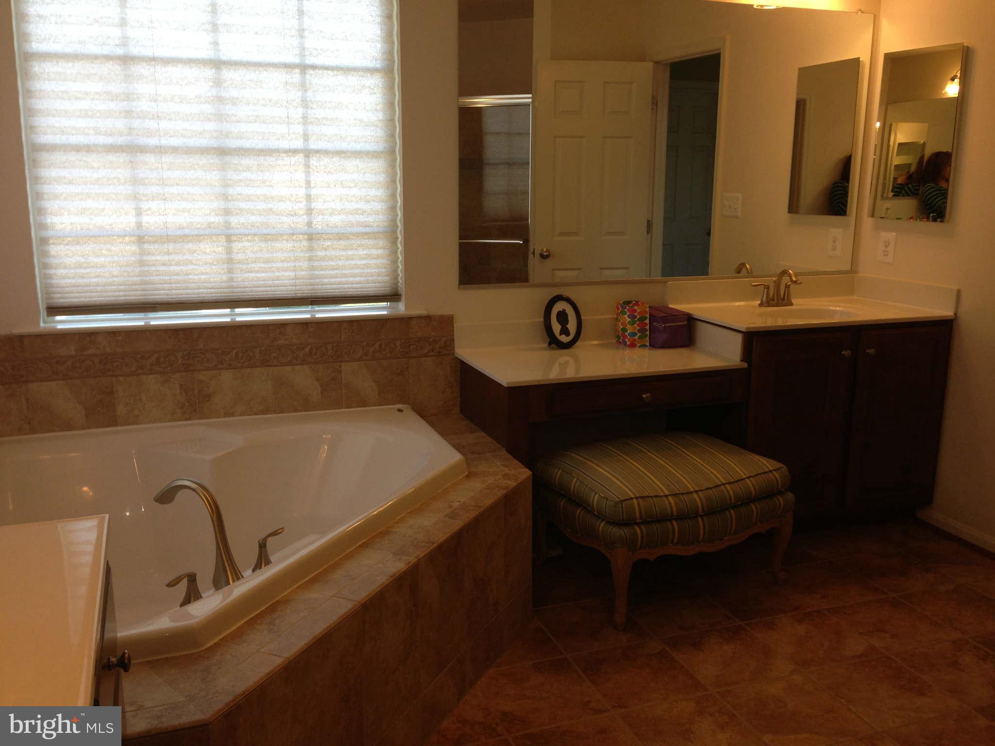6511 Clarington Road Baltimore, MD 21209 - Photo 11 of 18 Bath (Master)