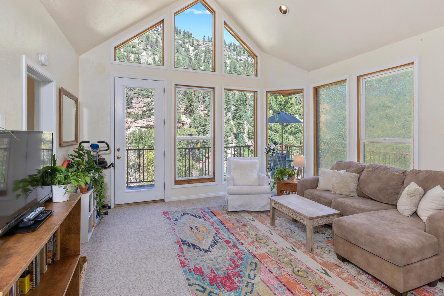 896 Two Rivers Drive, Unit 1 Telluride, CO 81435 - Photo 1 of 4 896 Two Rivers Living Area