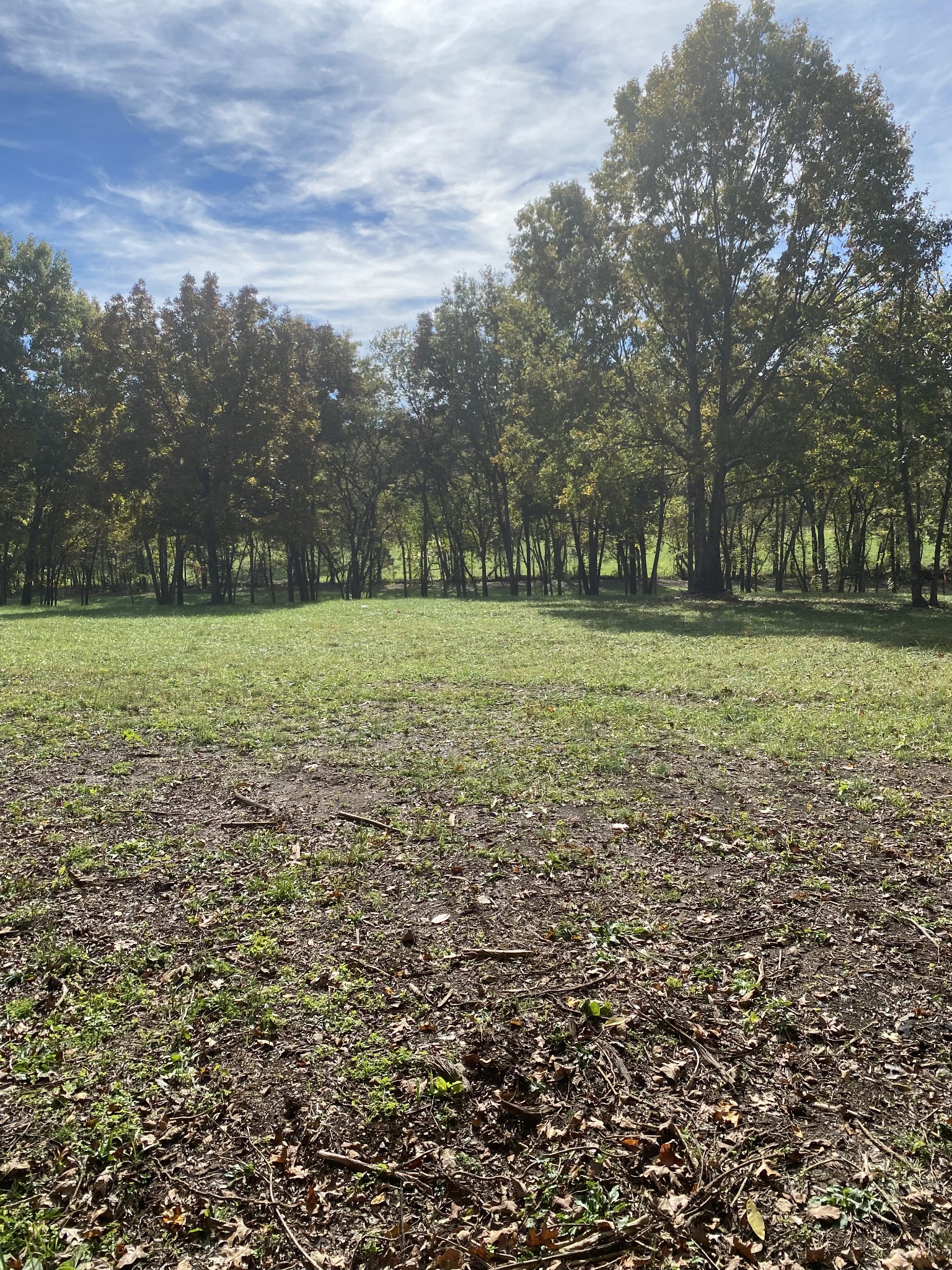 5 Callis Road Lebanon, TN 37090 - Photo 3 of 8 a view of a field with trees in the background
