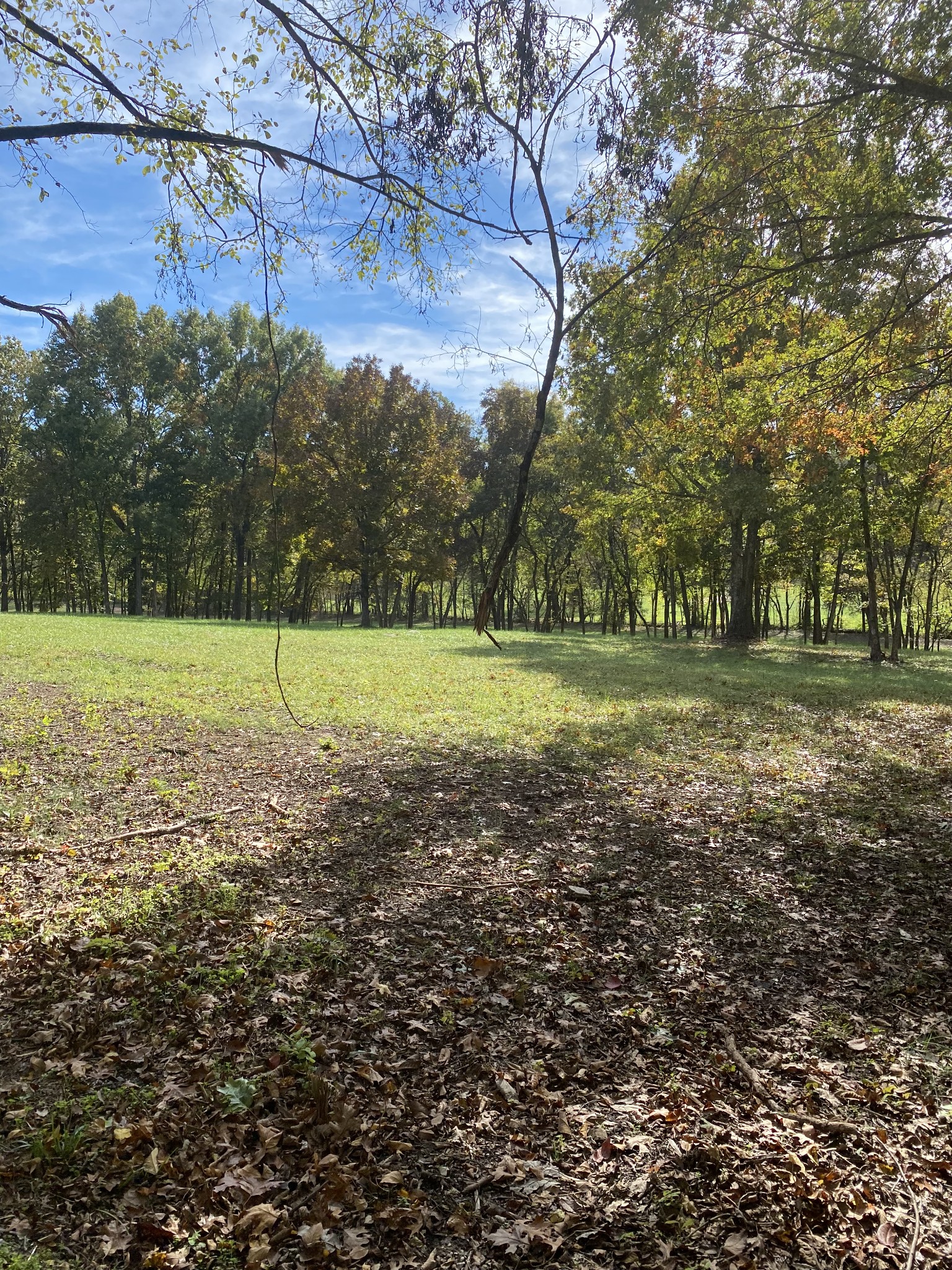 5 Callis Road Lebanon, TN 37090 - Photo 6 of 8 a view of a field with an trees