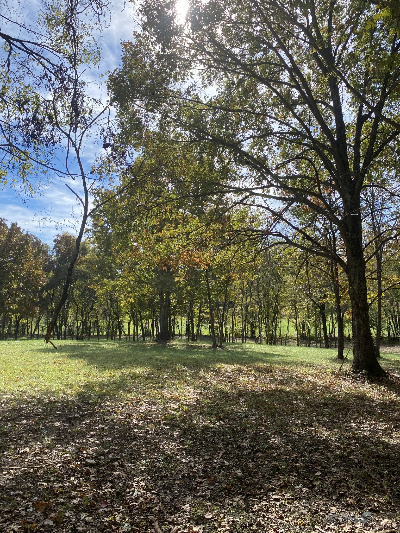 5 Callis Road Lebanon, TN 37090 - Photo 7 of 8 a view of a green field