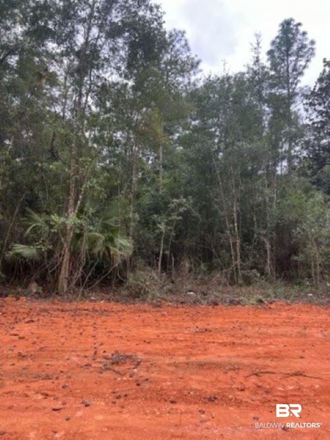 21917 Sedlack Road Silverhill, AL 36576 - Photo 25 of 27