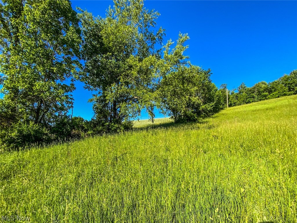 0 Hissem Road Cadiz, OH 43907 - Photo 6 of 20