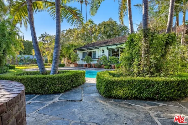 a view of a backyard with plants and large trees