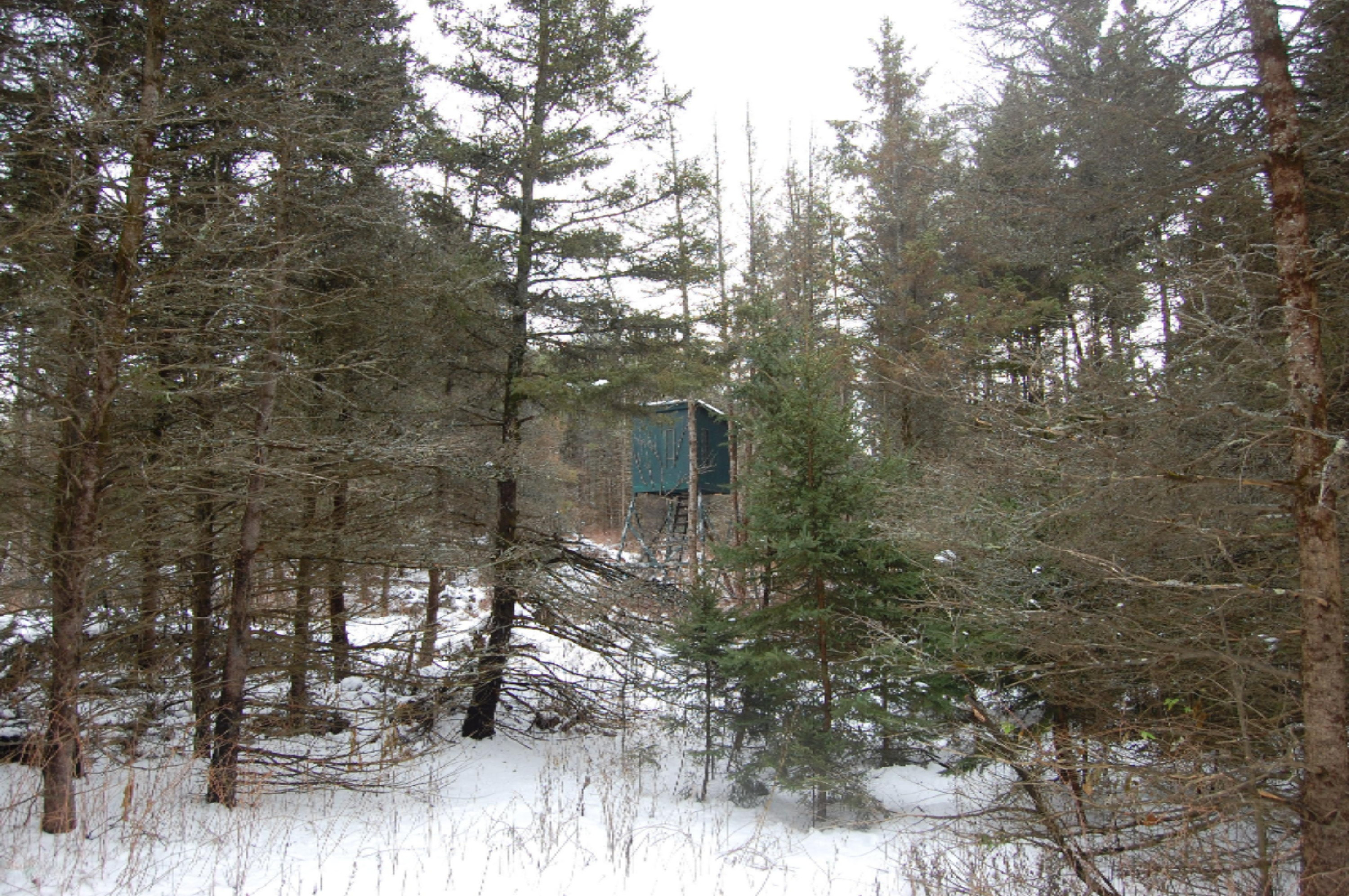 3584 No 45 Road Manton, MI 49663 - Photo 11 of 69 DSC_0014