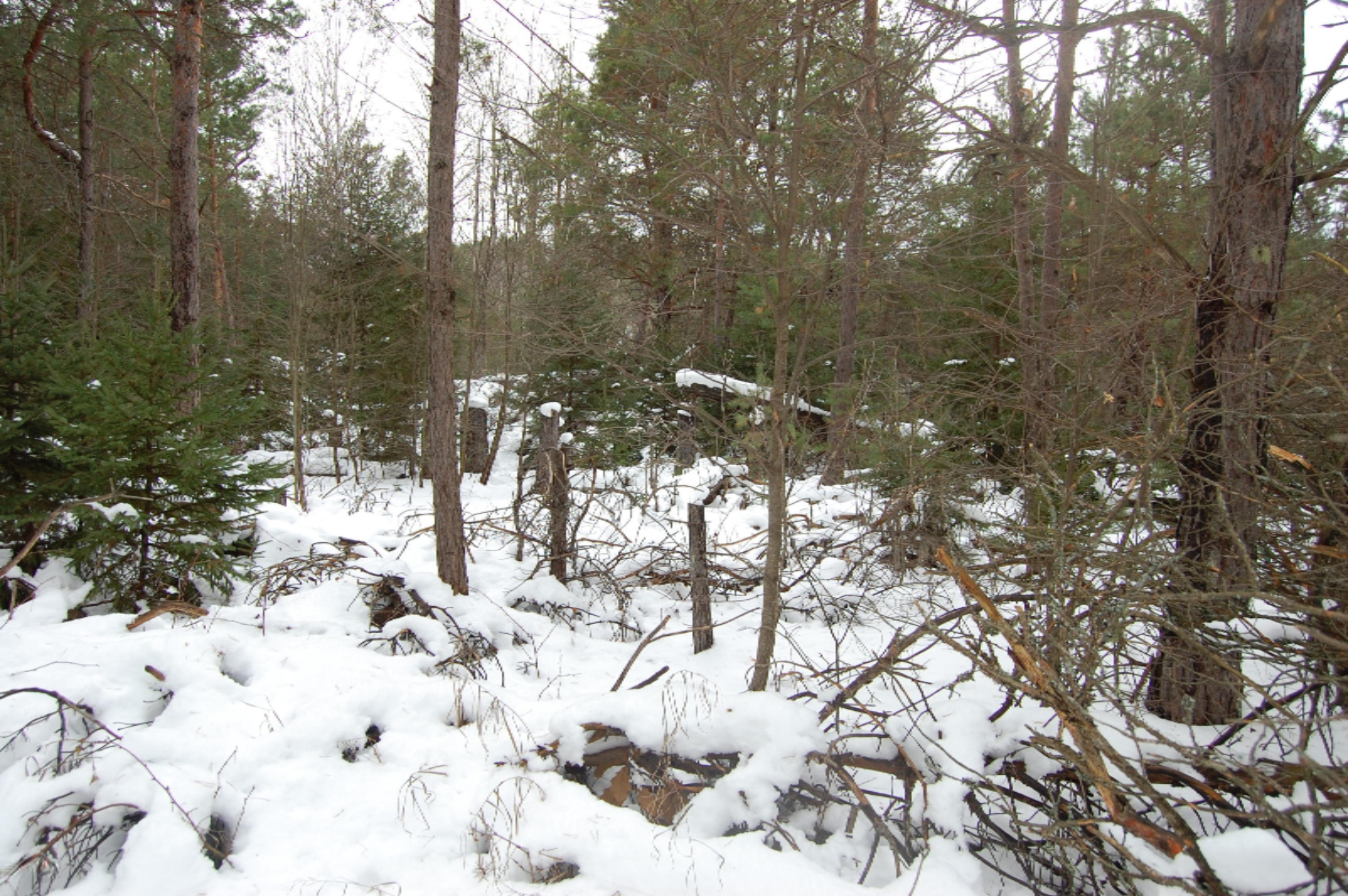 3584 No 45 Road Manton, MI 49663 - Photo 17 of 69 DSC_0020