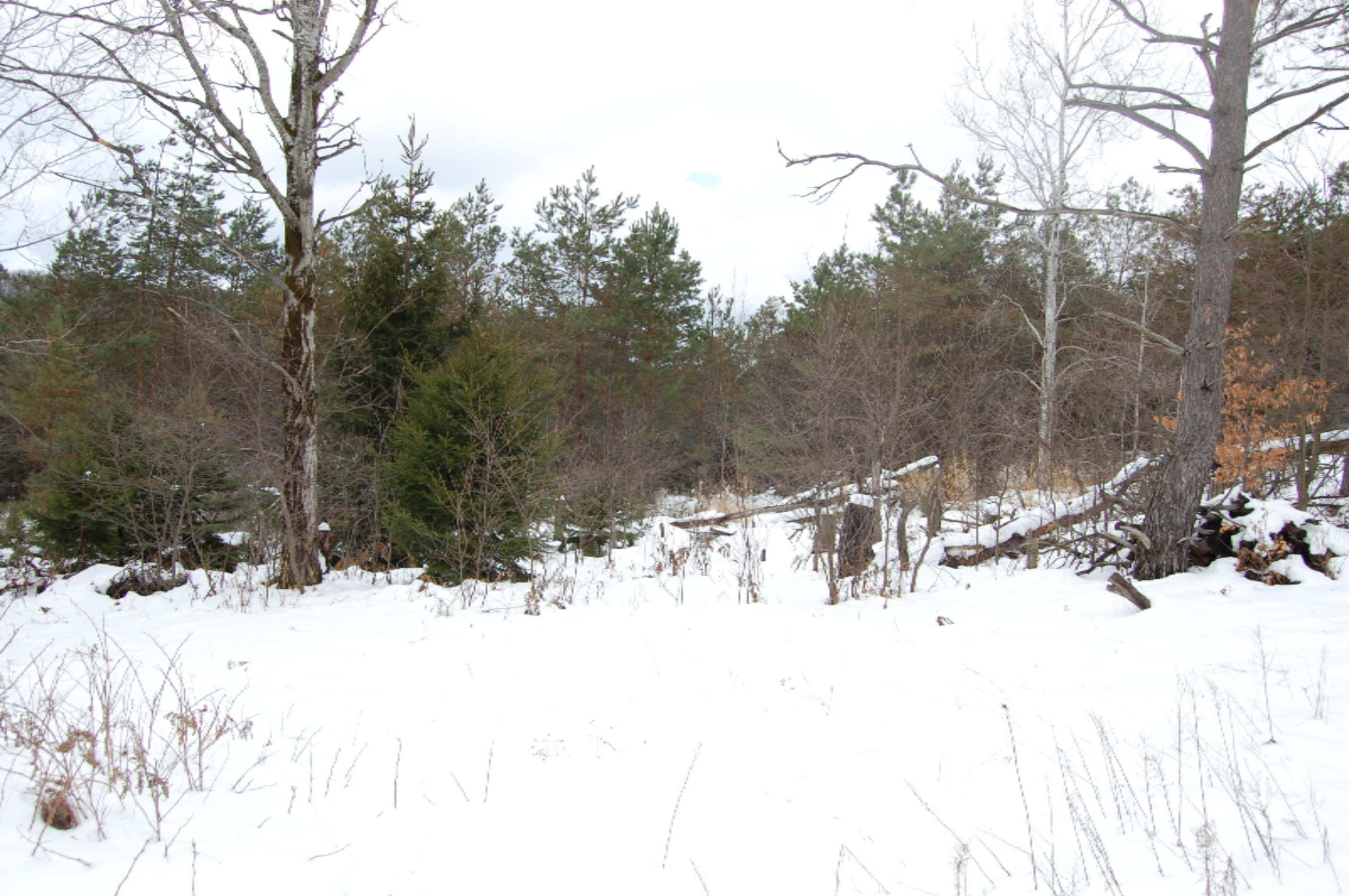 3584 No 45 Road Manton, MI 49663 - Photo 20 of 69 DSC_0023