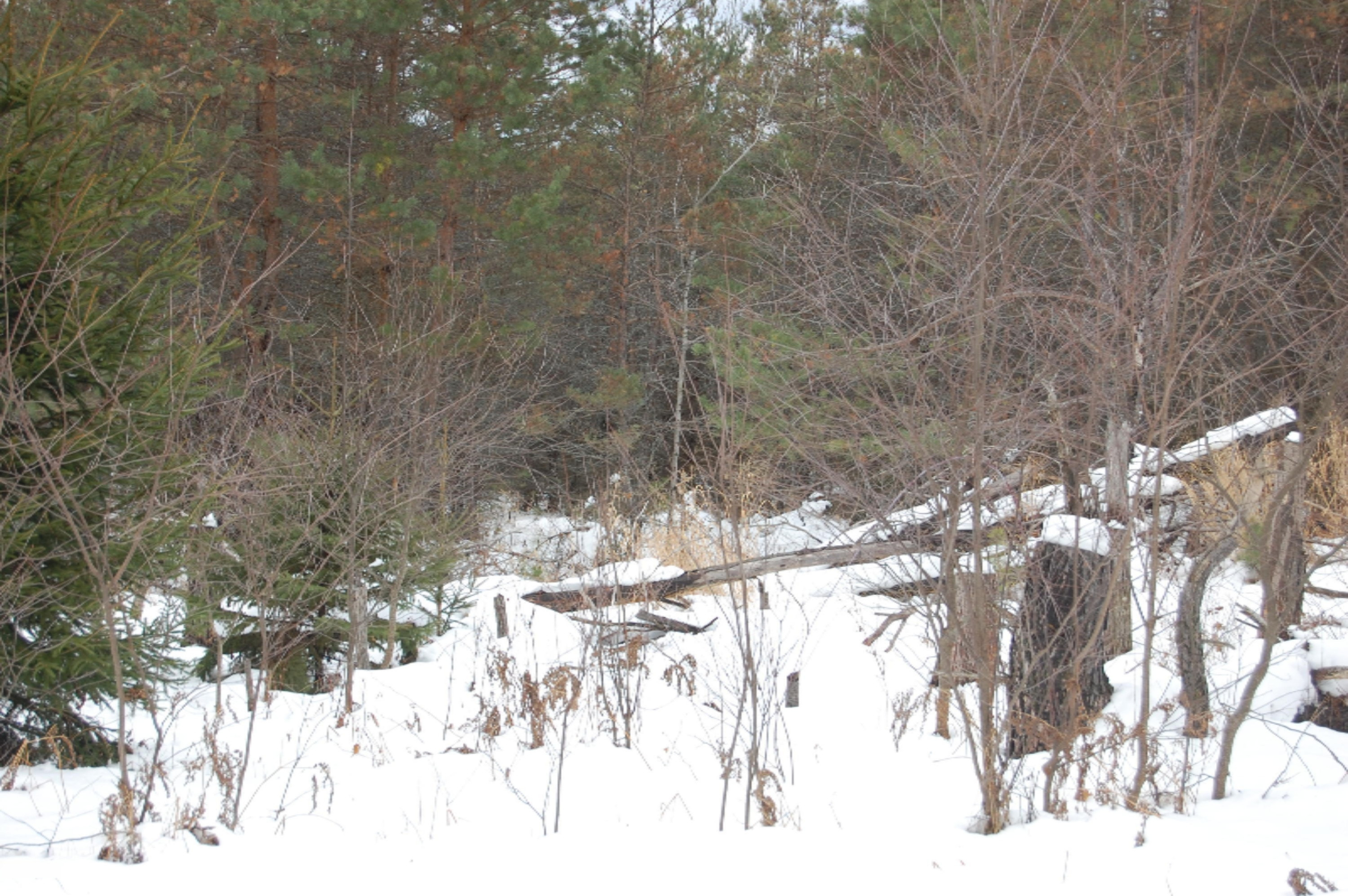 3584 No 45 Road Manton, MI 49663 - Photo 21 of 69 DSC_0024