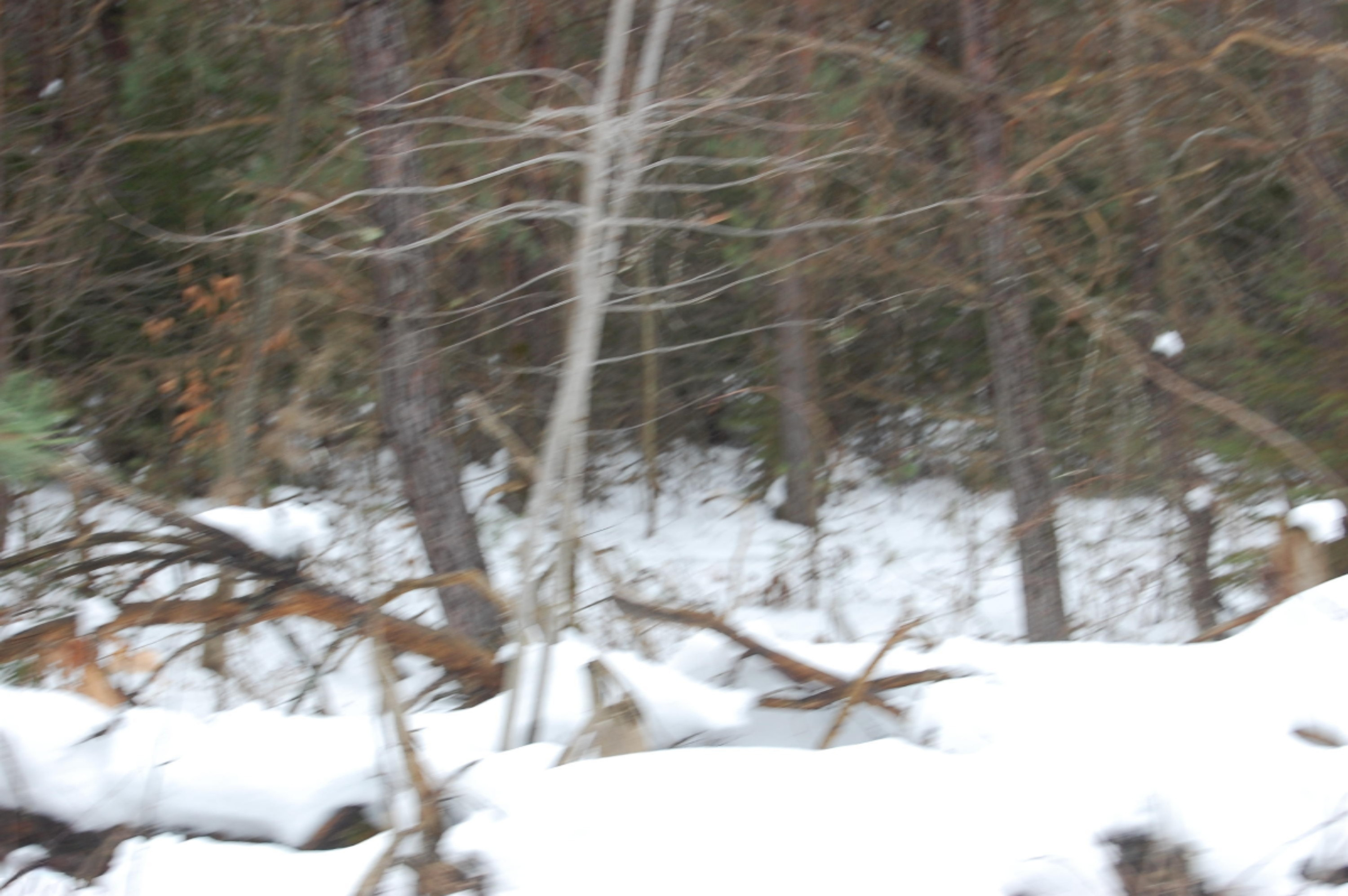 3584 No 45 Road Manton, MI 49663 - Photo 22 of 69 DSC_0025