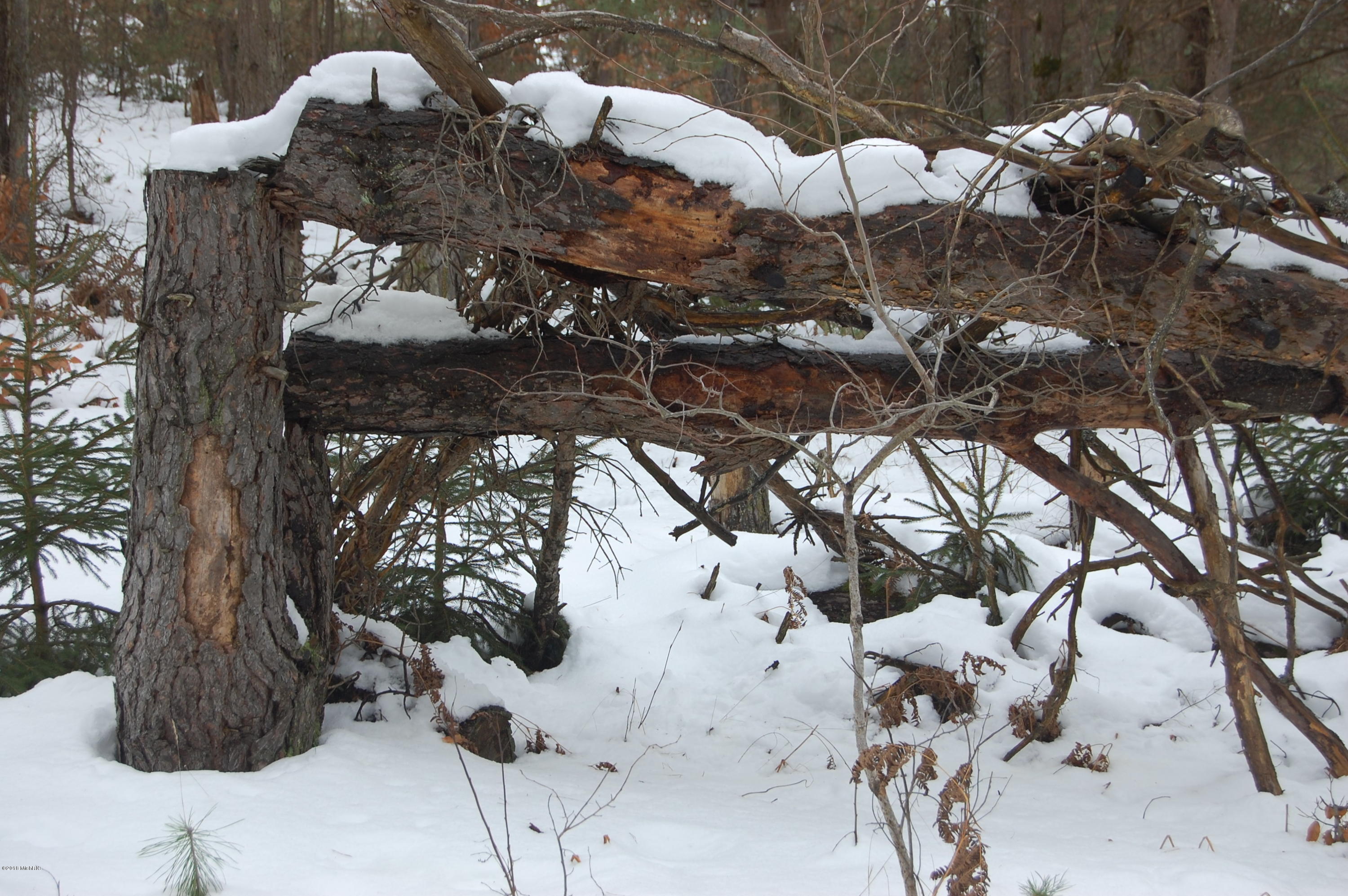 3584 No 45 Road Manton, MI 49663 - Photo 23 of 69 DSC_0026