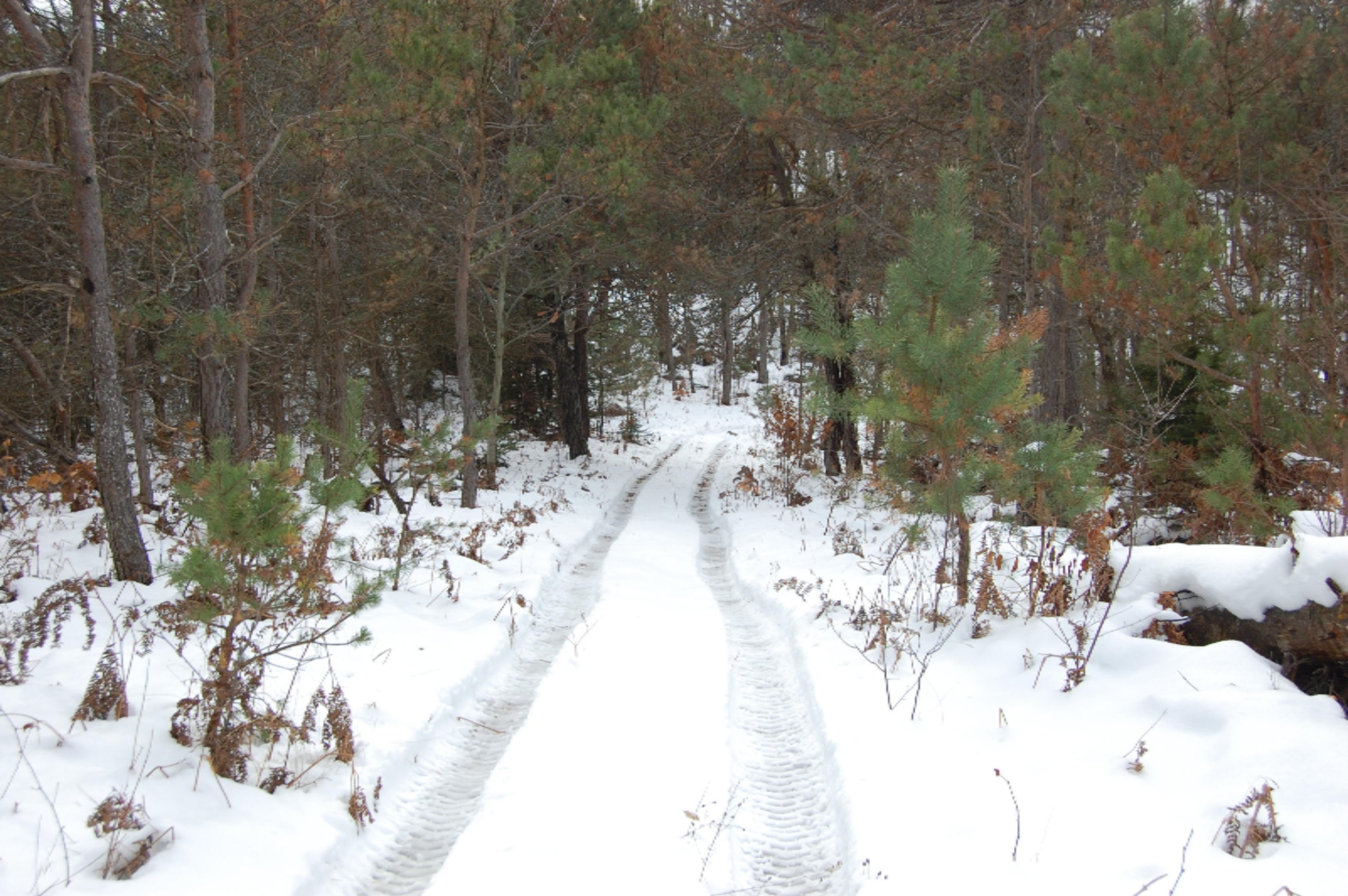3584 No 45 Road Manton, MI 49663 - Photo 28 of 69 DSC_0031