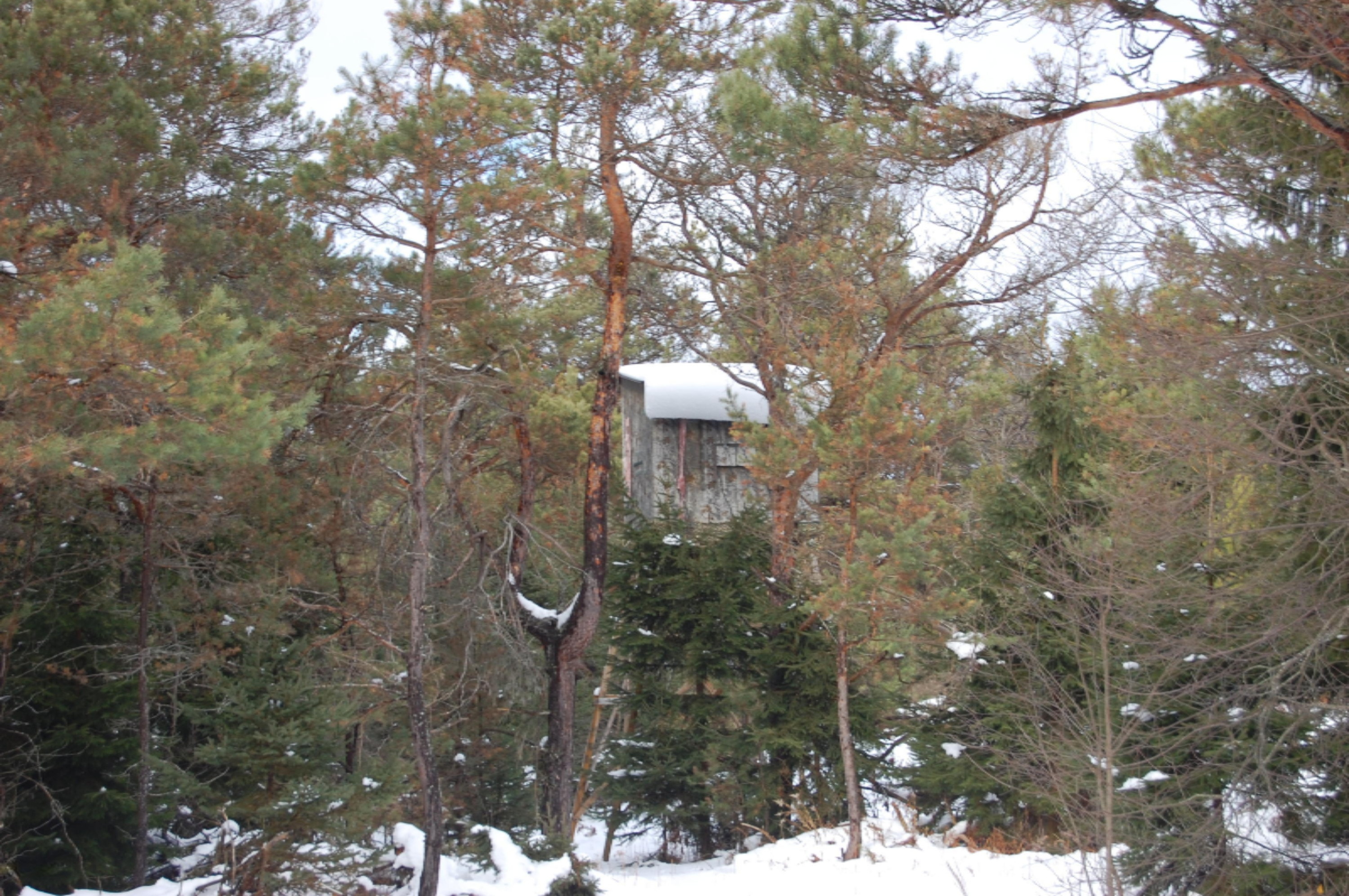 3584 No 45 Road Manton, MI 49663 - Photo 31 of 69 DSC_0034