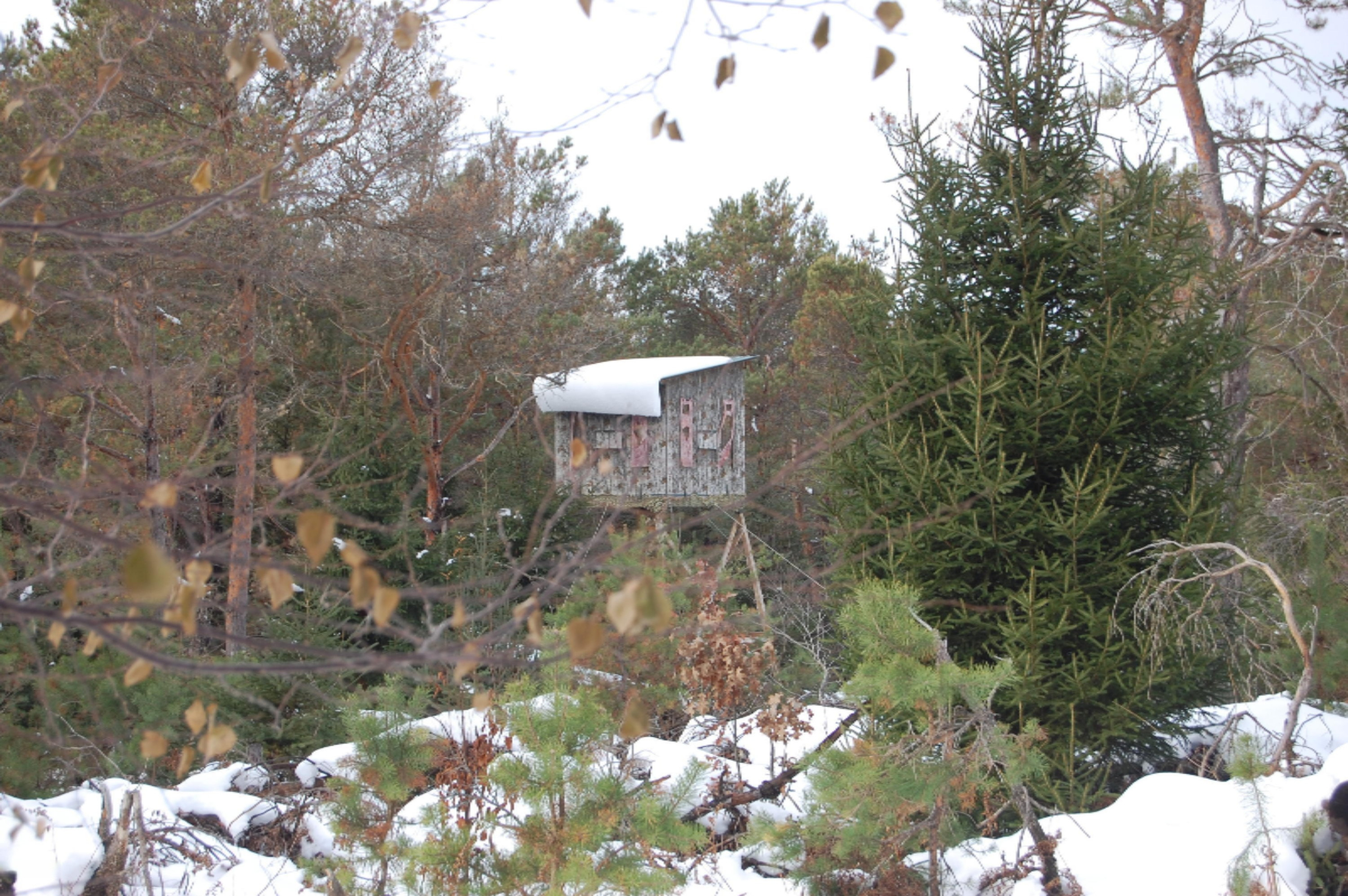3584 No 45 Road Manton, MI 49663 - Photo 32 of 69 DSC_0035
