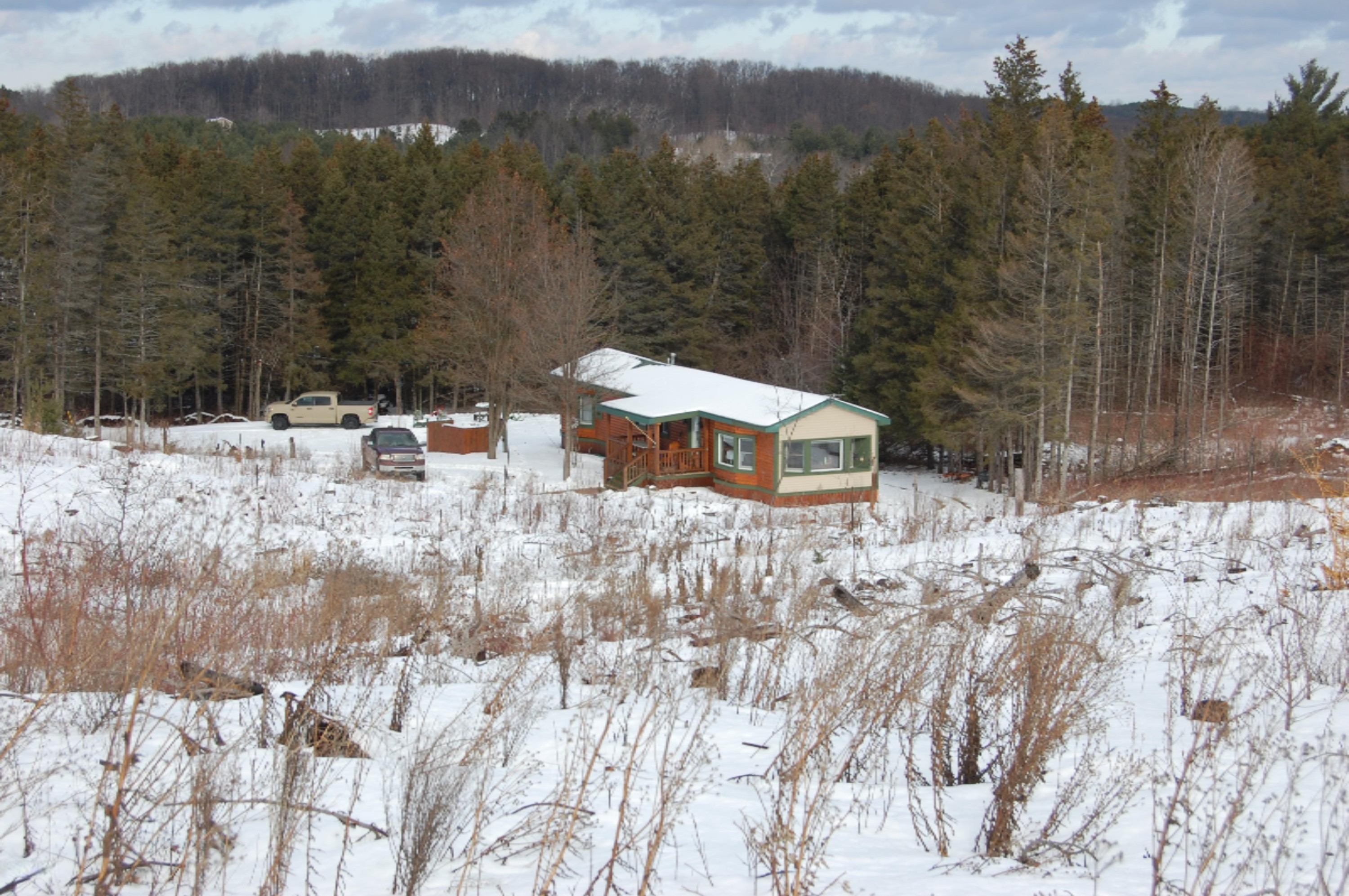 3584 No 45 Road Manton, MI 49663 - Photo 45 of 69 DSC_0048
