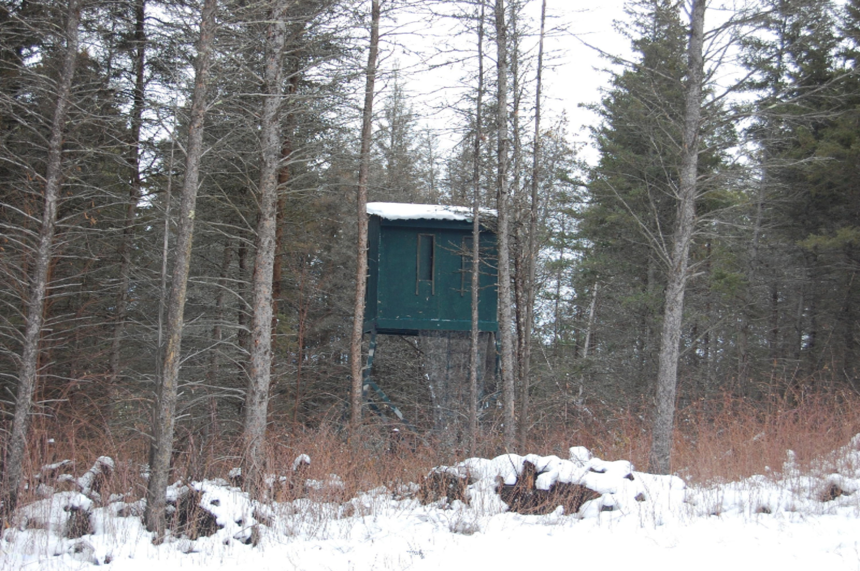 3584 No 45 Road Manton, MI 49663 - Photo 5 of 69 DSC_0008