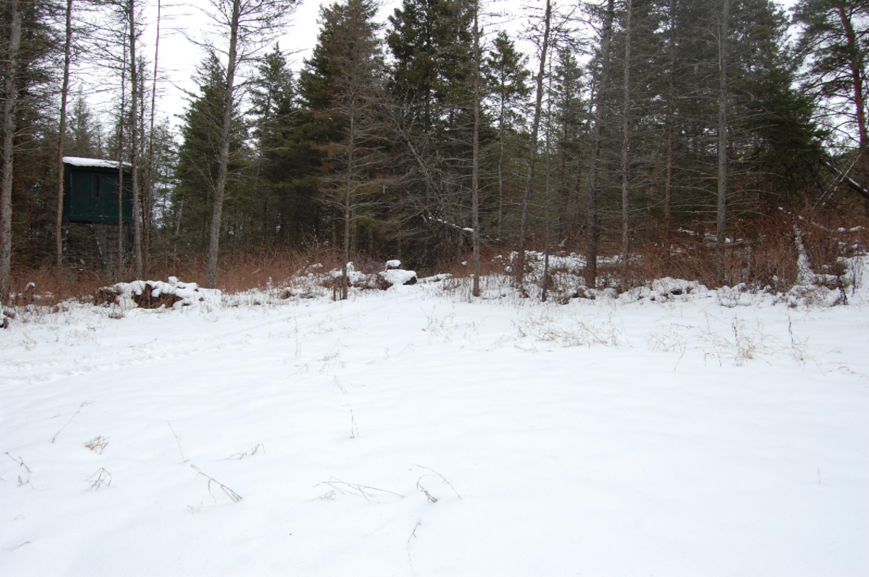 3584 No 45 Road Manton, MI 49663 - Photo 6 of 69 DSC_0009