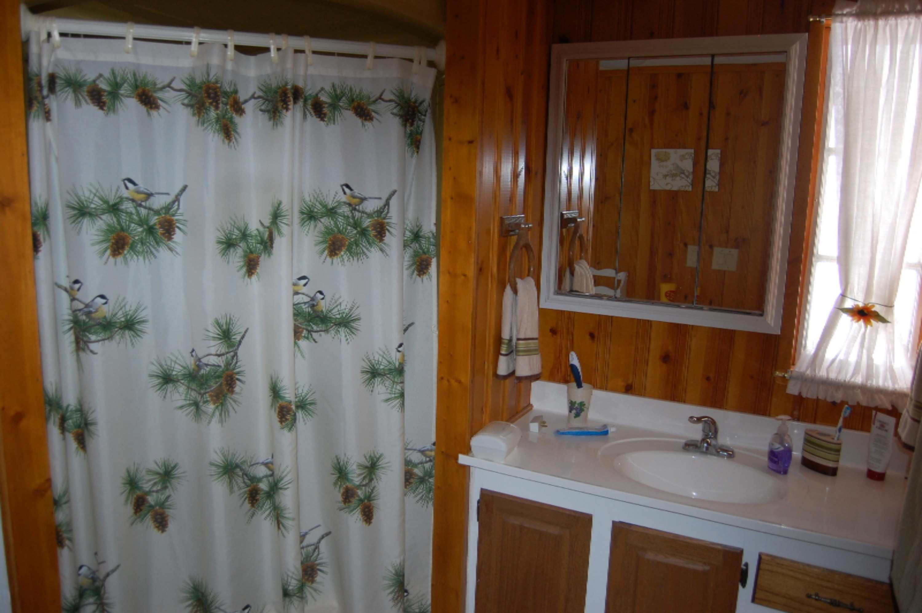 3584 No 45 Road Manton, MI 49663 - Photo 62 of 69 DSC_0071