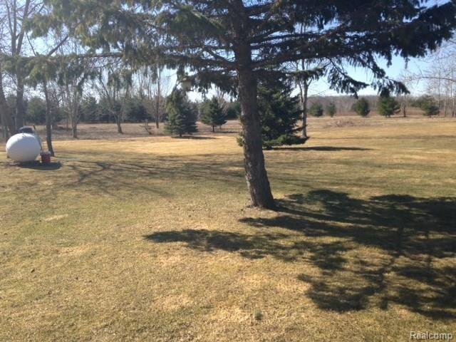 1743 Wales Center Road Goodells, MI 48027 - Photo 15 of 18