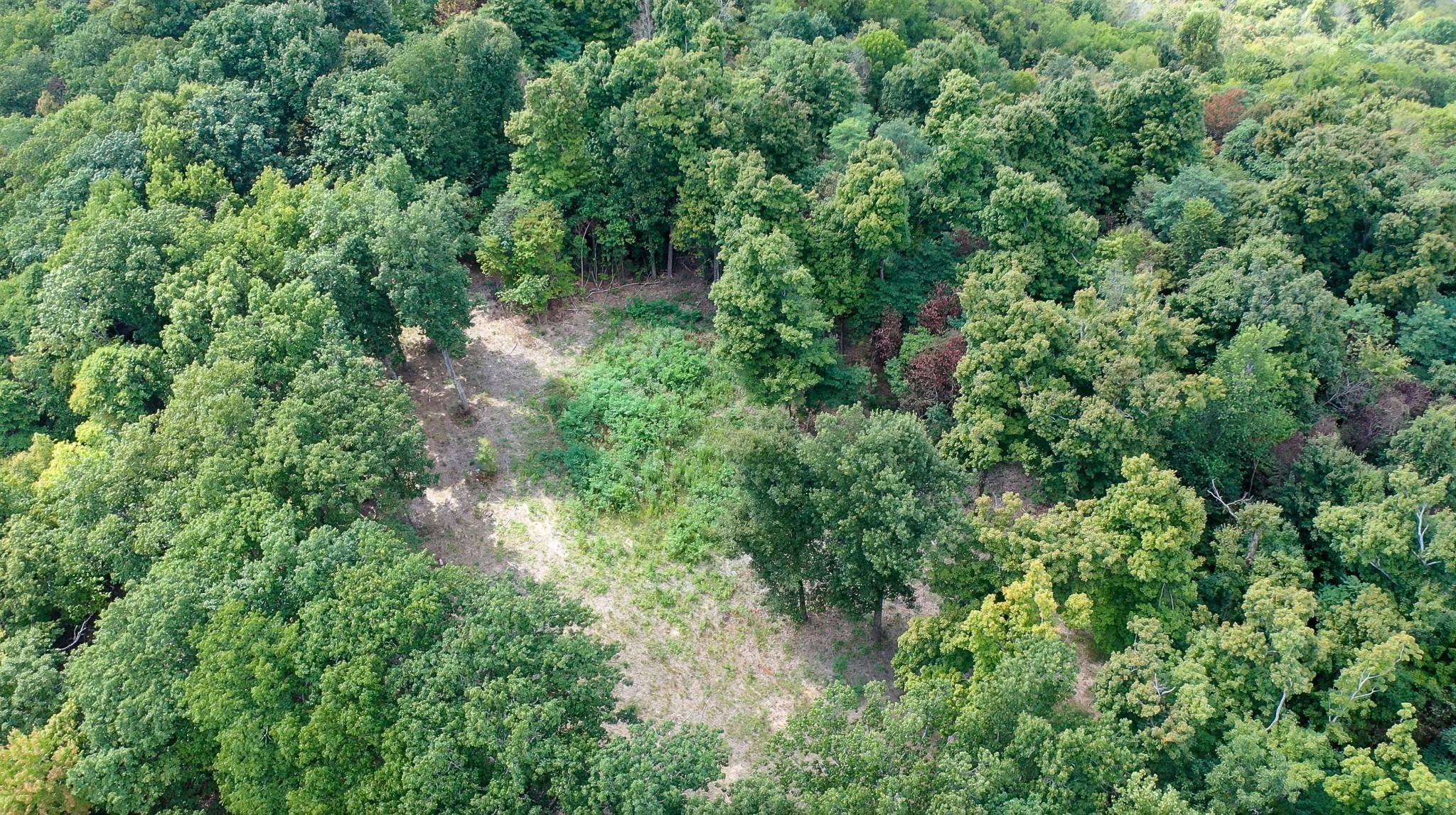 7659 Burks Road Christiana, TN 37037 - Photo 29 of 32 Gallery Image 29