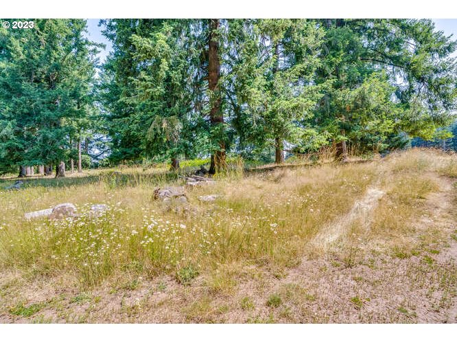 37614 Southeast Coupland Road Estacada, OR 97023 - Photo 26 of 34 Gallery Image 26
