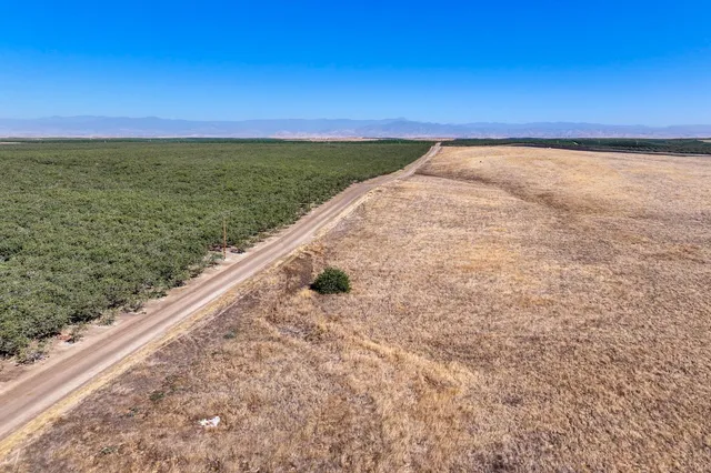 a view of yard with ocean view