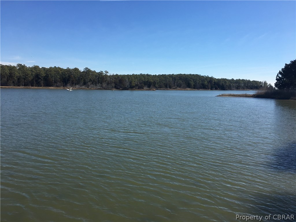 0 Hurst Neck Road Onemo, VA 23130 - Photo 7 of 12