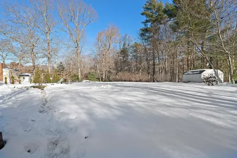 a view of road and trees