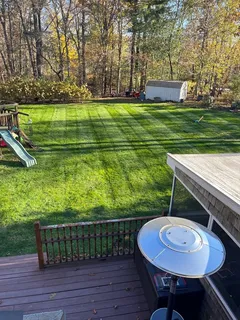 a view of a chairs and table in the patio