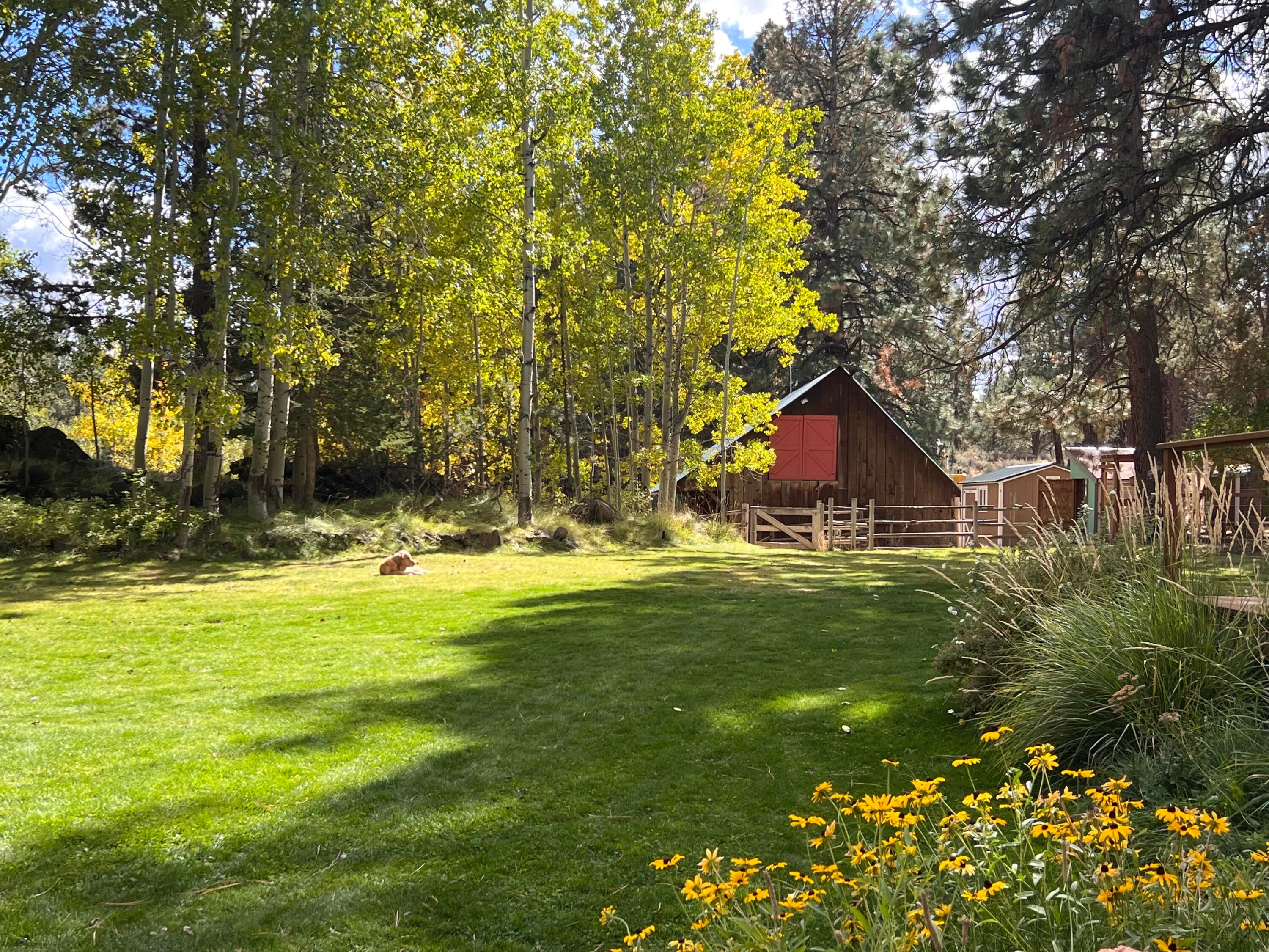 21365 Back Alley Road Bend, OR 97702 - Photo 1 of 31 landscape BA