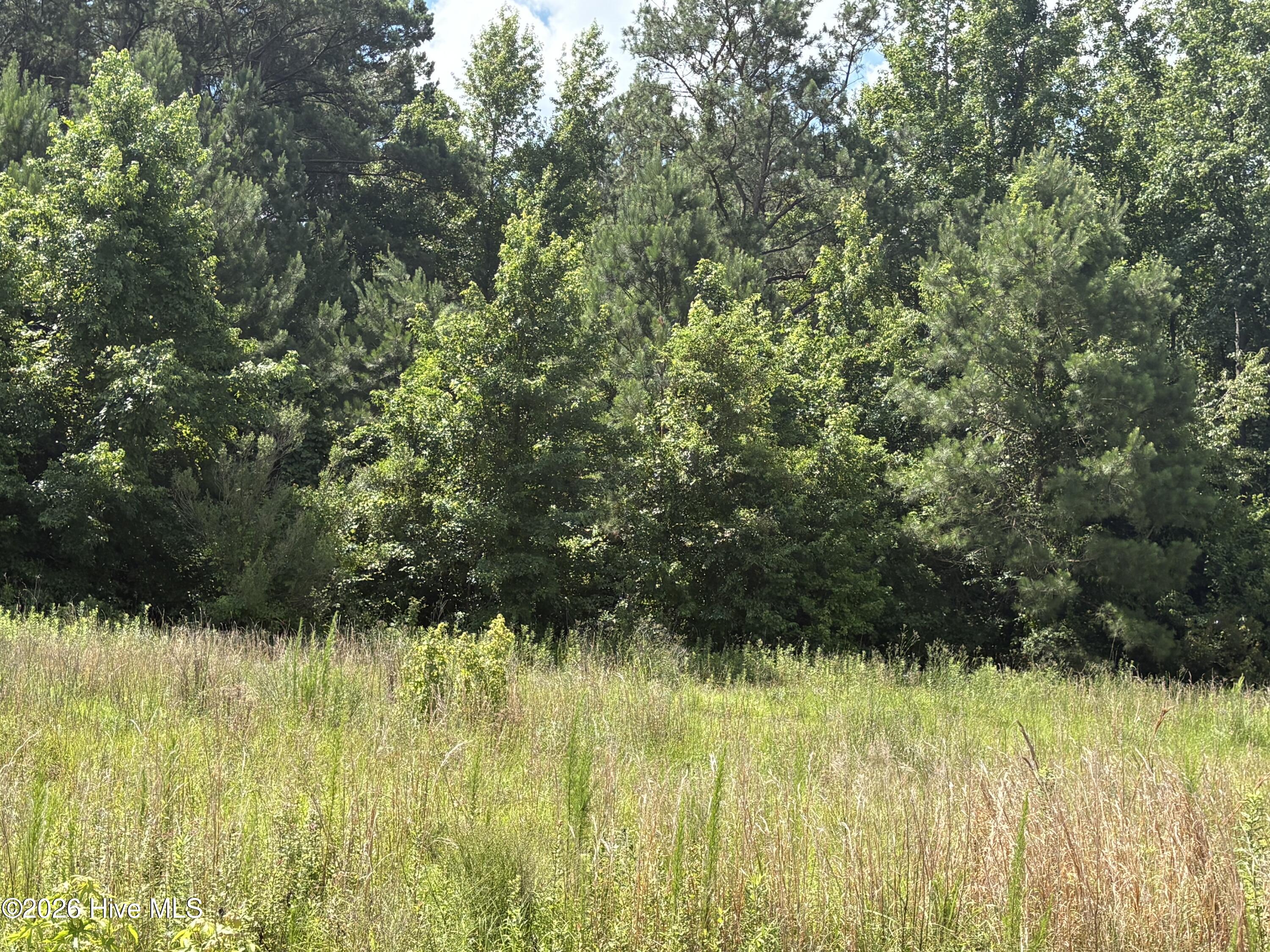 1419 Mable Spaulding Road Whiteville, NC 28472 - Photo 2 of 16