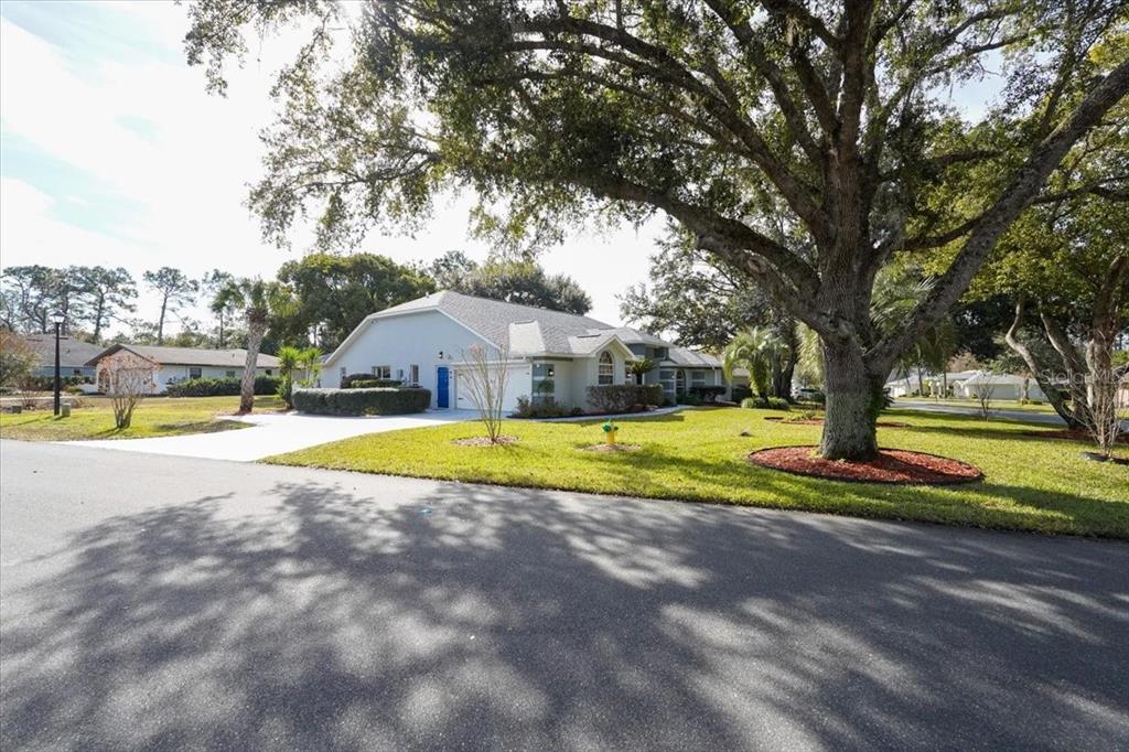 29 Linder Circle Homosassa, FL 34446 - Photo 44 of 66