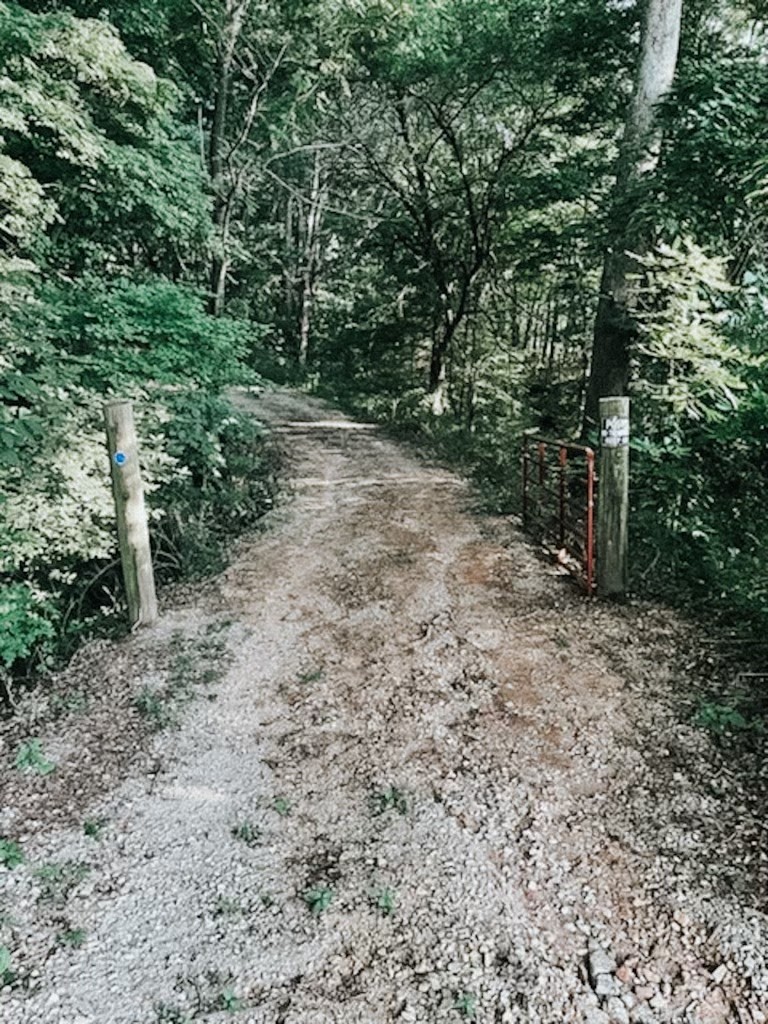 710 Denning Ford Road Portland, TN 37148 - Photo 1 of 9 a view of a forest with trees in the background