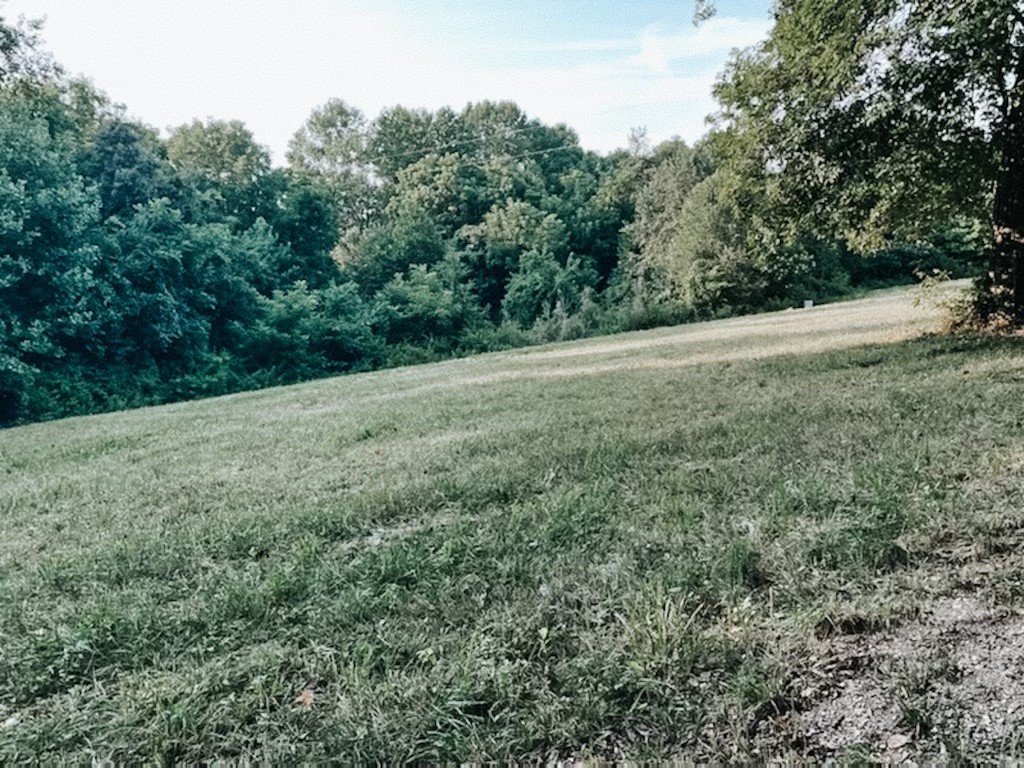710 Denning Ford Road Portland, TN 37148 - Photo 2 of 9 a view of a yard with a tree