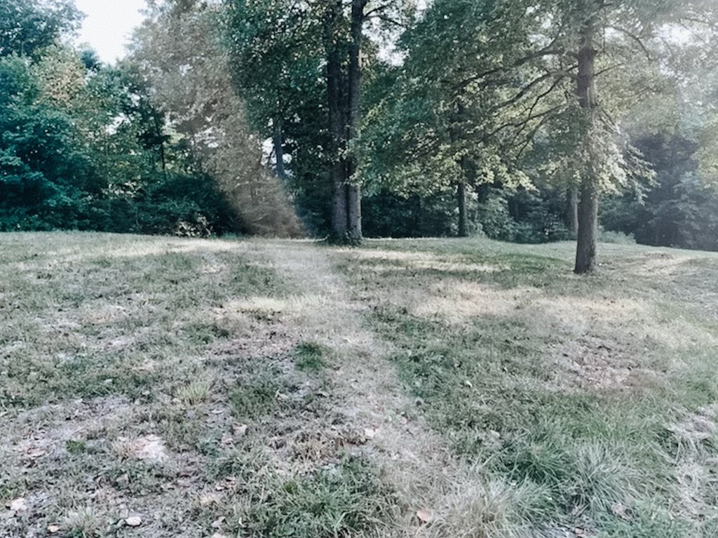 710 Denning Ford Road Portland, TN 37148 - Photo 3 of 9 a view of a yard with a tree