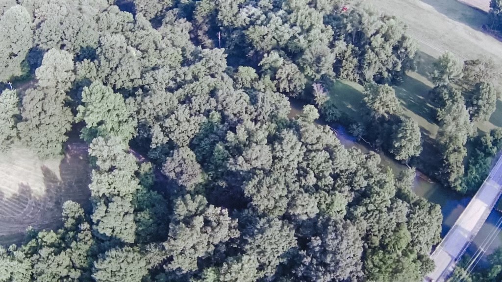 710 Denning Ford Road Portland, TN 37148 - Photo 7 of 9 a view of a forest with a tree