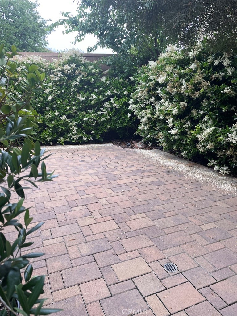 100 Desert Bloom Irvine, CA 92618 - Photo 15 of 15 a view of a yard and trees