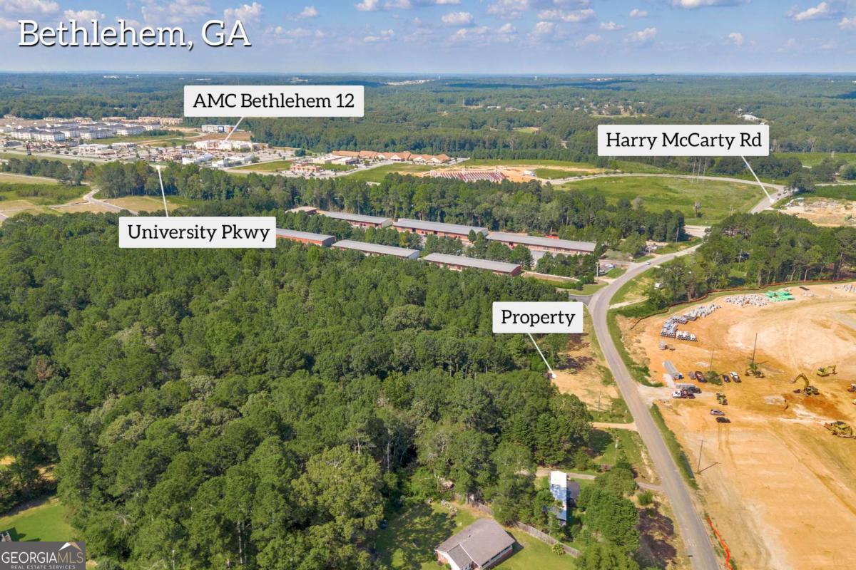755 Harry McCarty Road Bethlehem, GA 30620 - Photo 11 of 28 a view of a swimming pool with a yard and plants