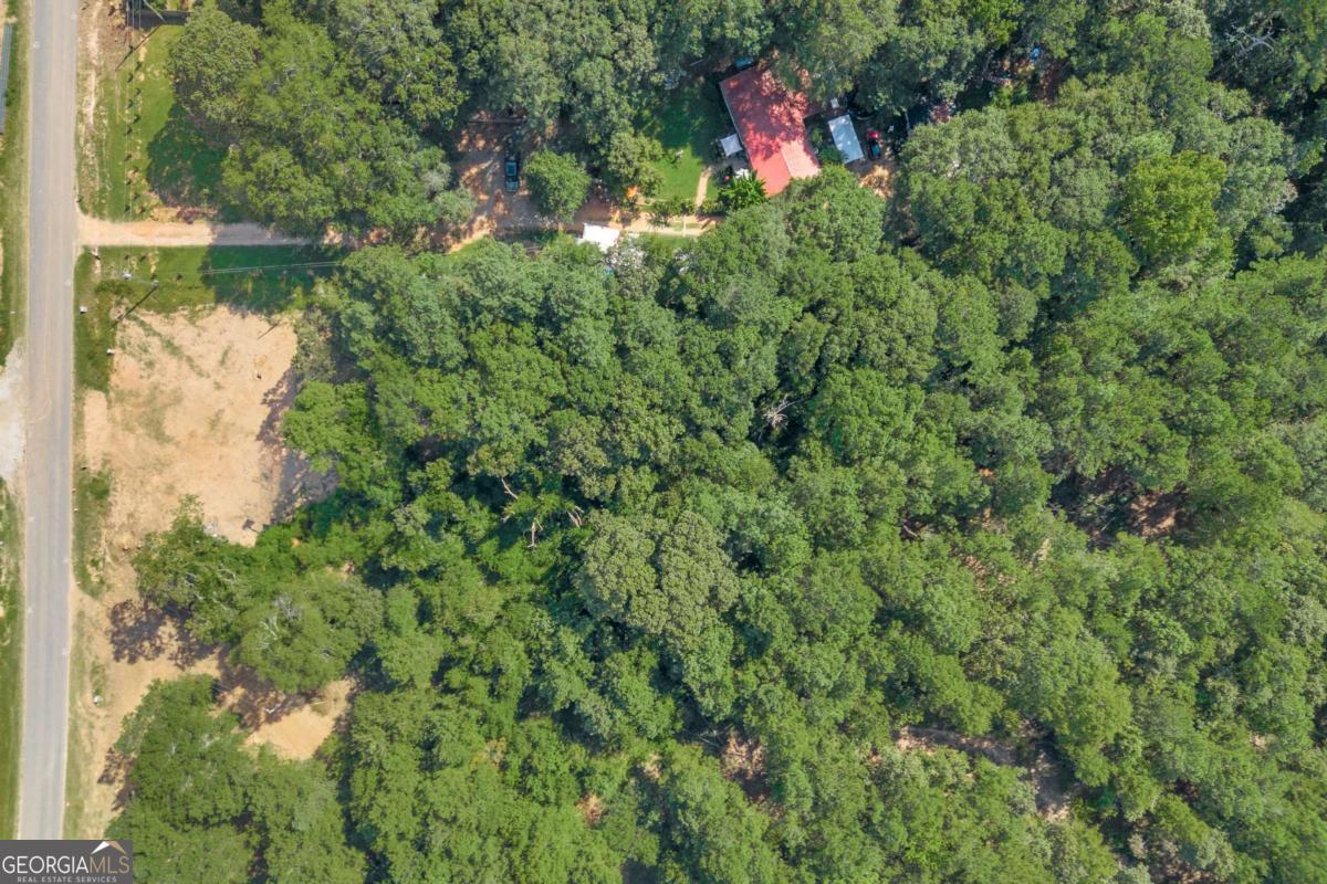 755 Harry McCarty Road Bethlehem, GA 30620 - Photo 12 of 28 a backyard of a house with lots of green space and lake view