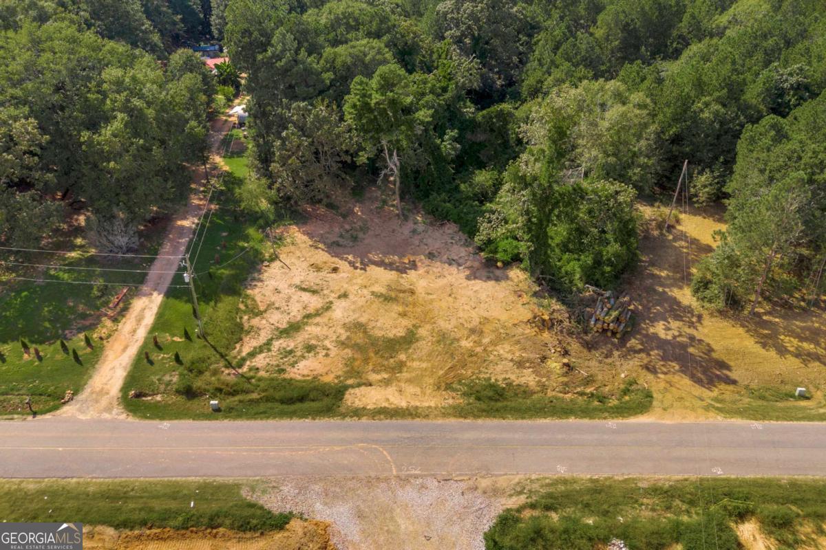 755 Harry McCarty Road Bethlehem, GA 30620 - Photo 17 of 28 a view of a yard with plants and trees