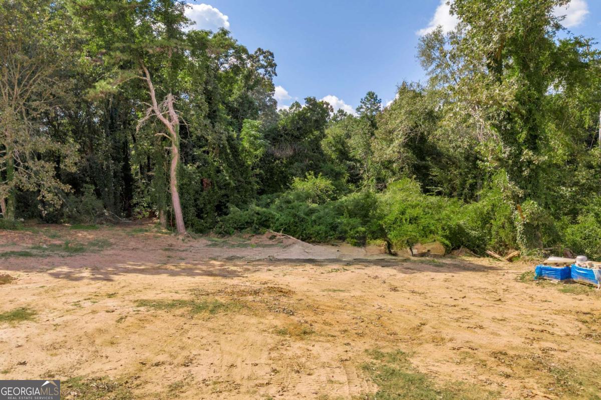 755 Harry McCarty Road Bethlehem, GA 30620 - Photo 24 of 28 a view of a out door space