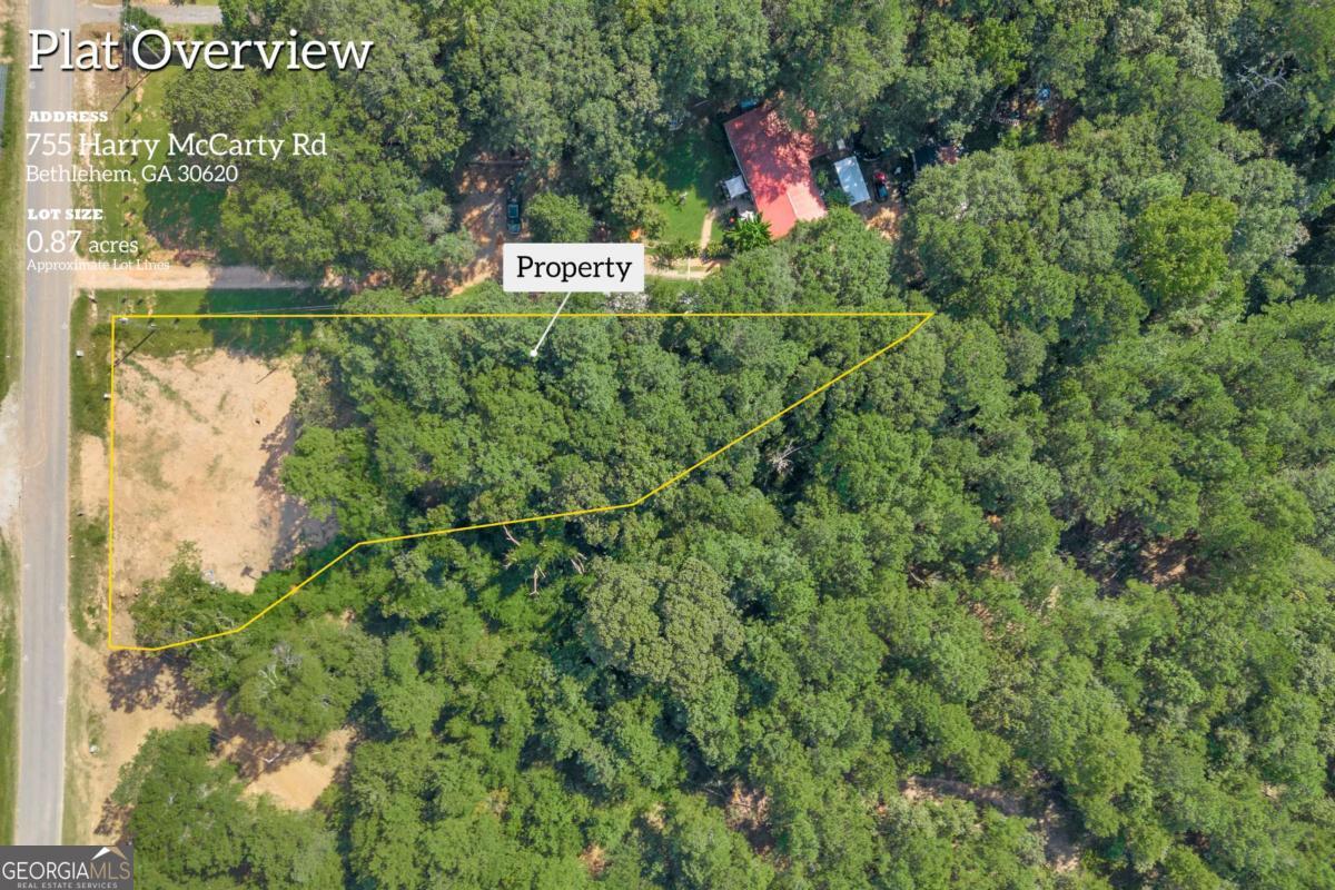 755 Harry McCarty Road Bethlehem, GA 30620 - Photo 3 of 28 a view of a sign in a garden near a lake