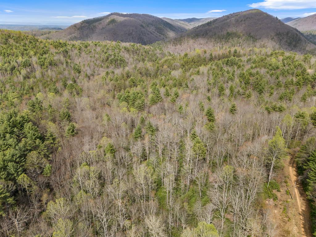 96-ac Cole Mountain Road, Unit 41 Hiwassee, VA 24347 - Photo 42 of 66 Gallery Image 42