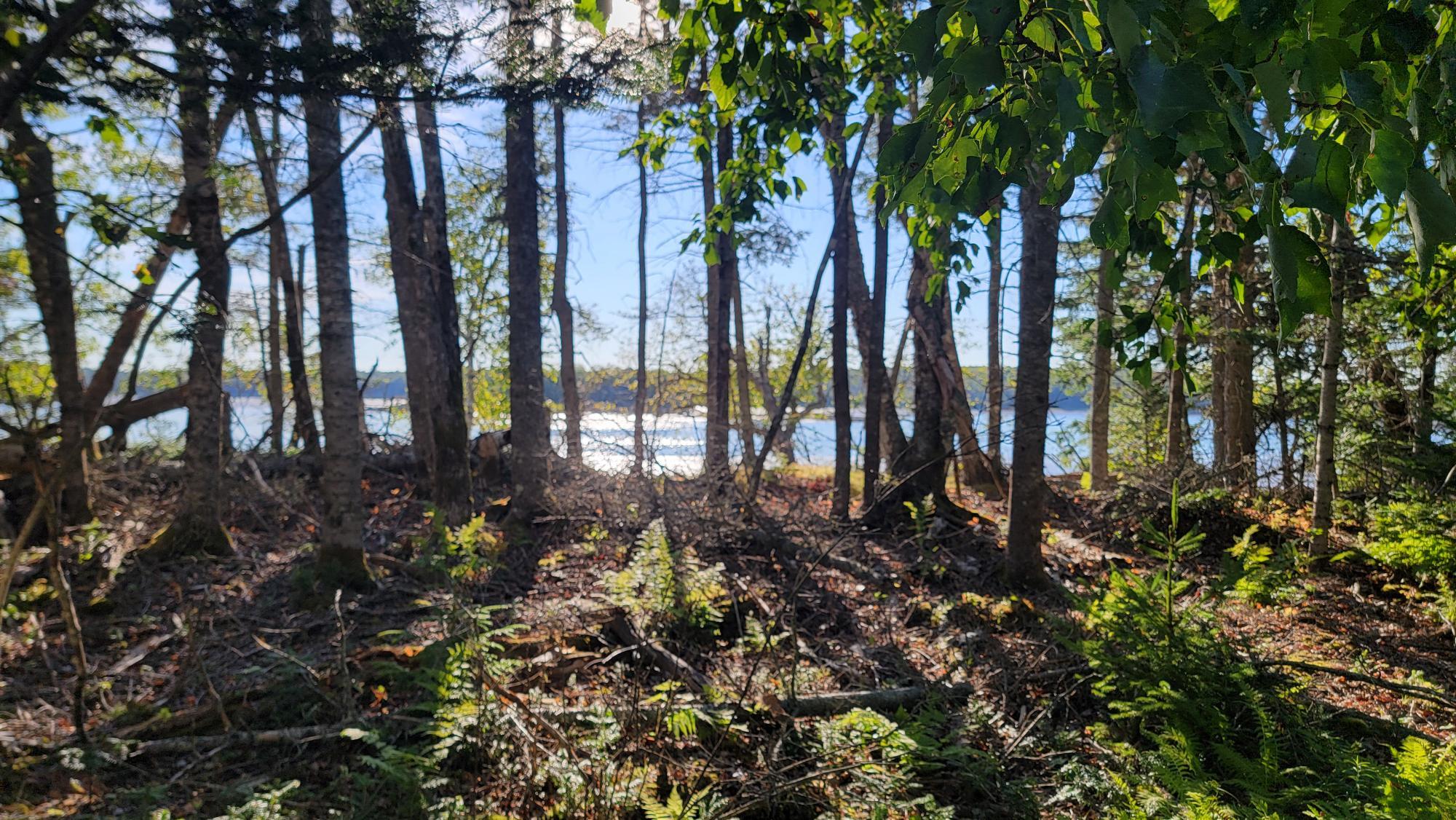 Lot 1-5 Evergreen Point Road Jonesboro, ME 04648 - Photo 25 of 33 20250821_171803