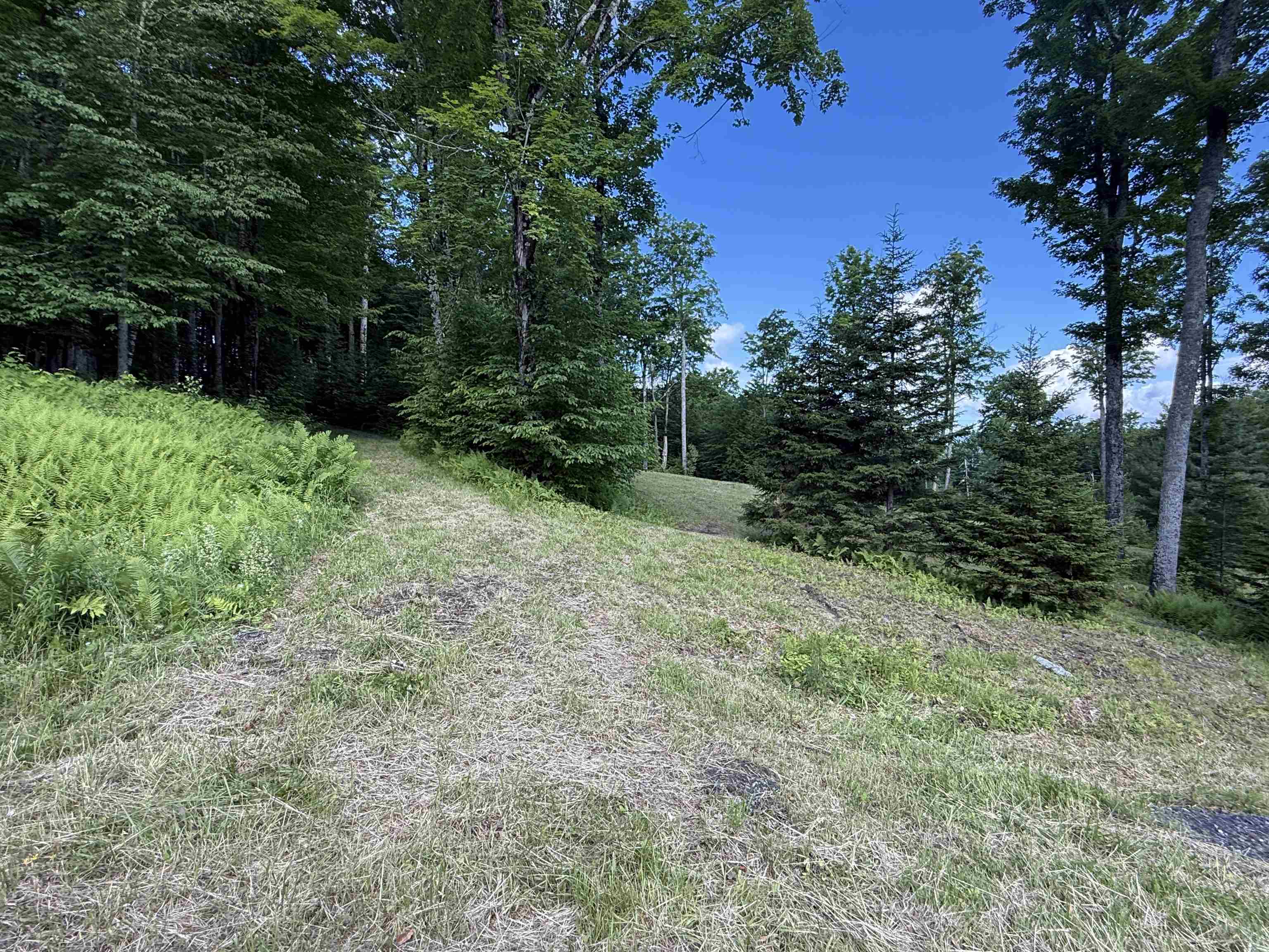 884 Palmer Hill Road Waitsfield, VT 05673 - Photo 35 of 43